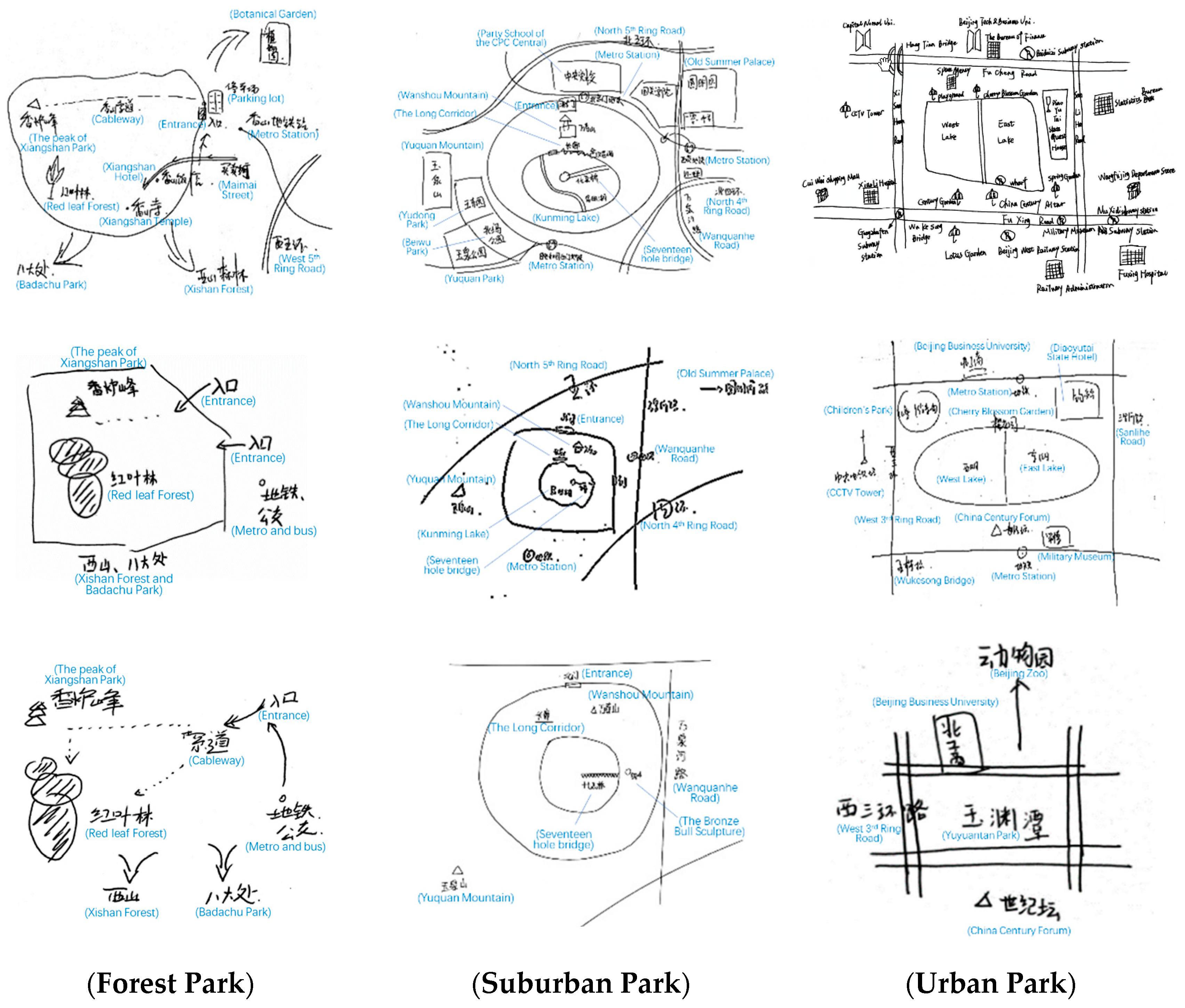 Forests 11 00064 g003