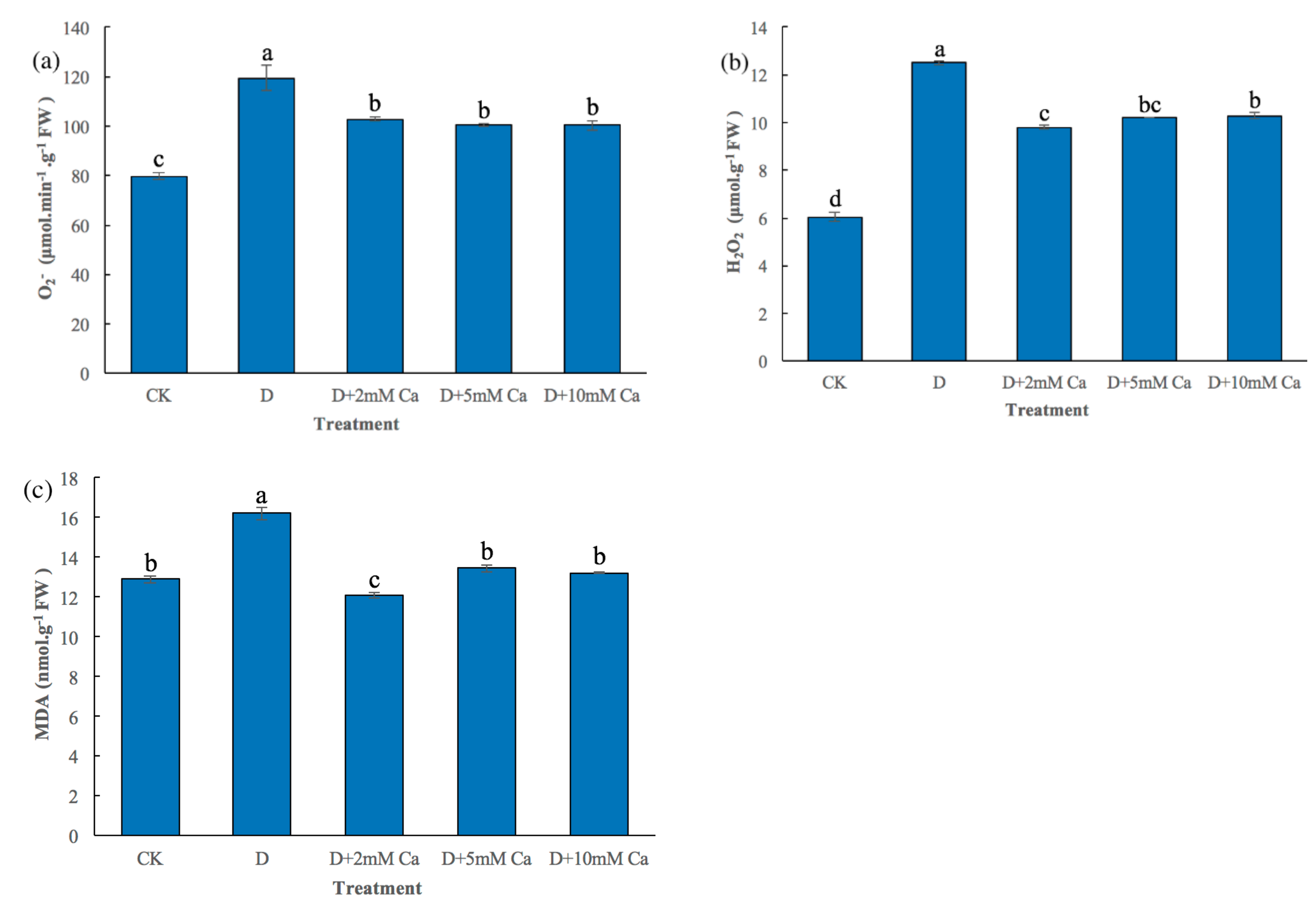 Forests 11 00069 g002