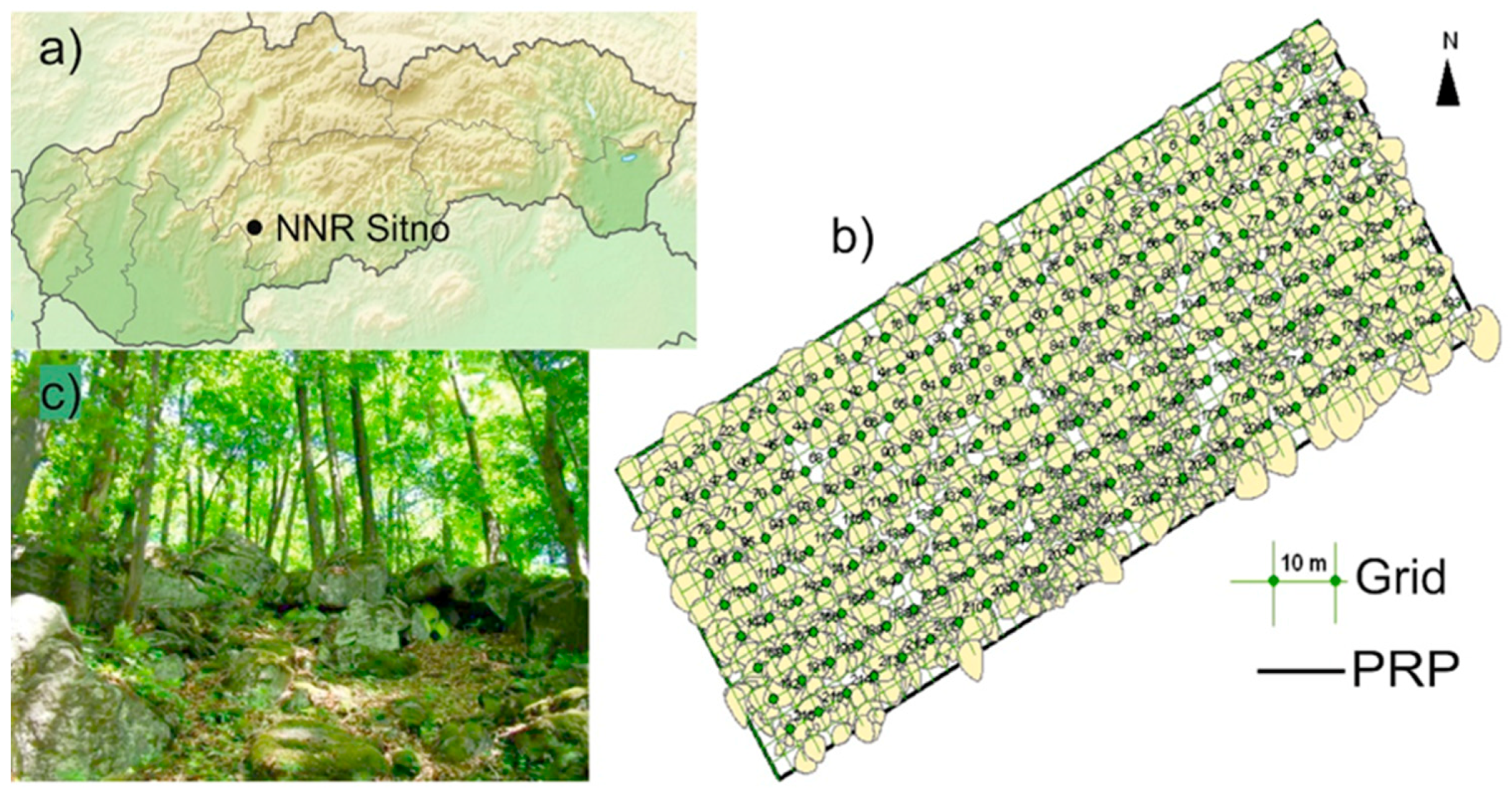 Forests 11 00081 g001