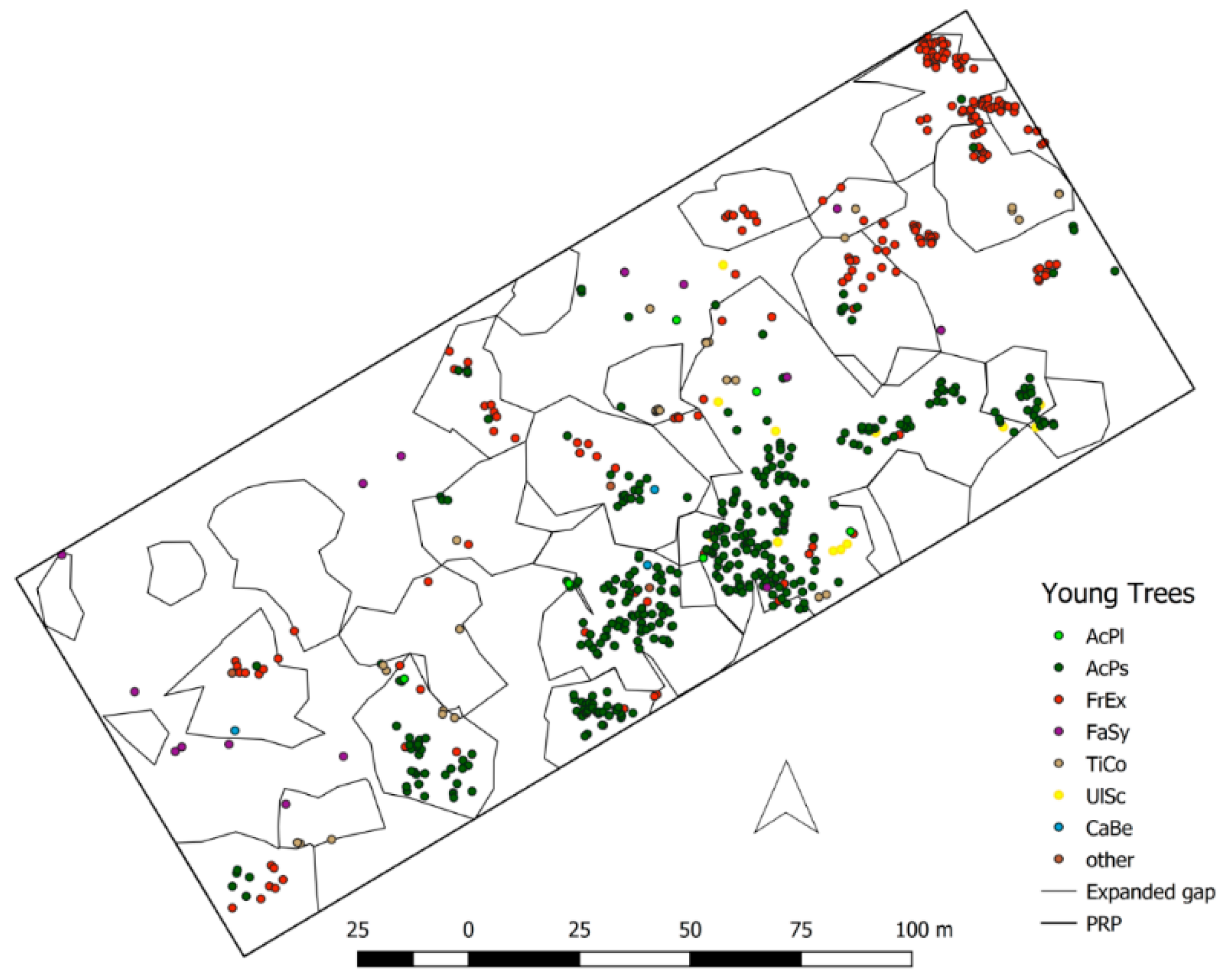 Forests 11 00081 g0a3