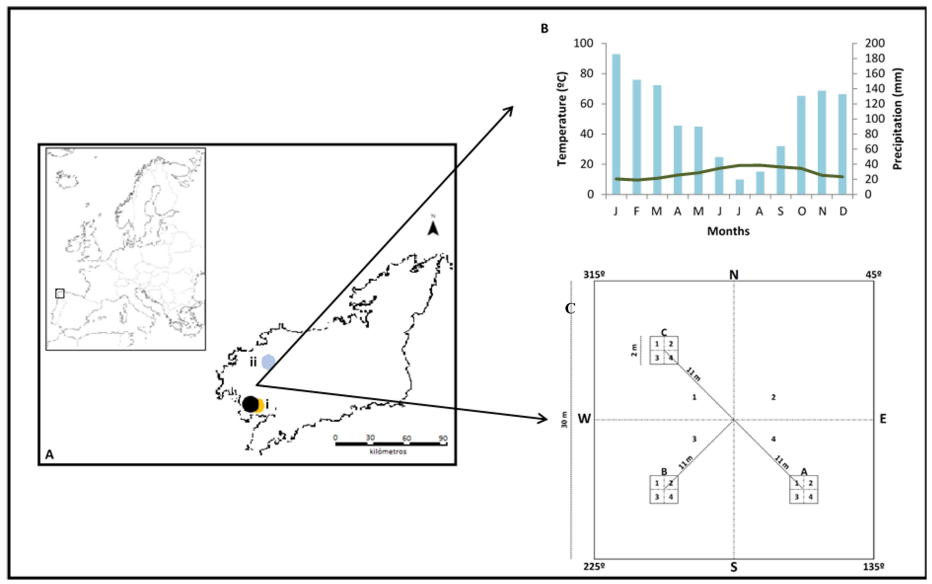 Forests 11 00124 g001