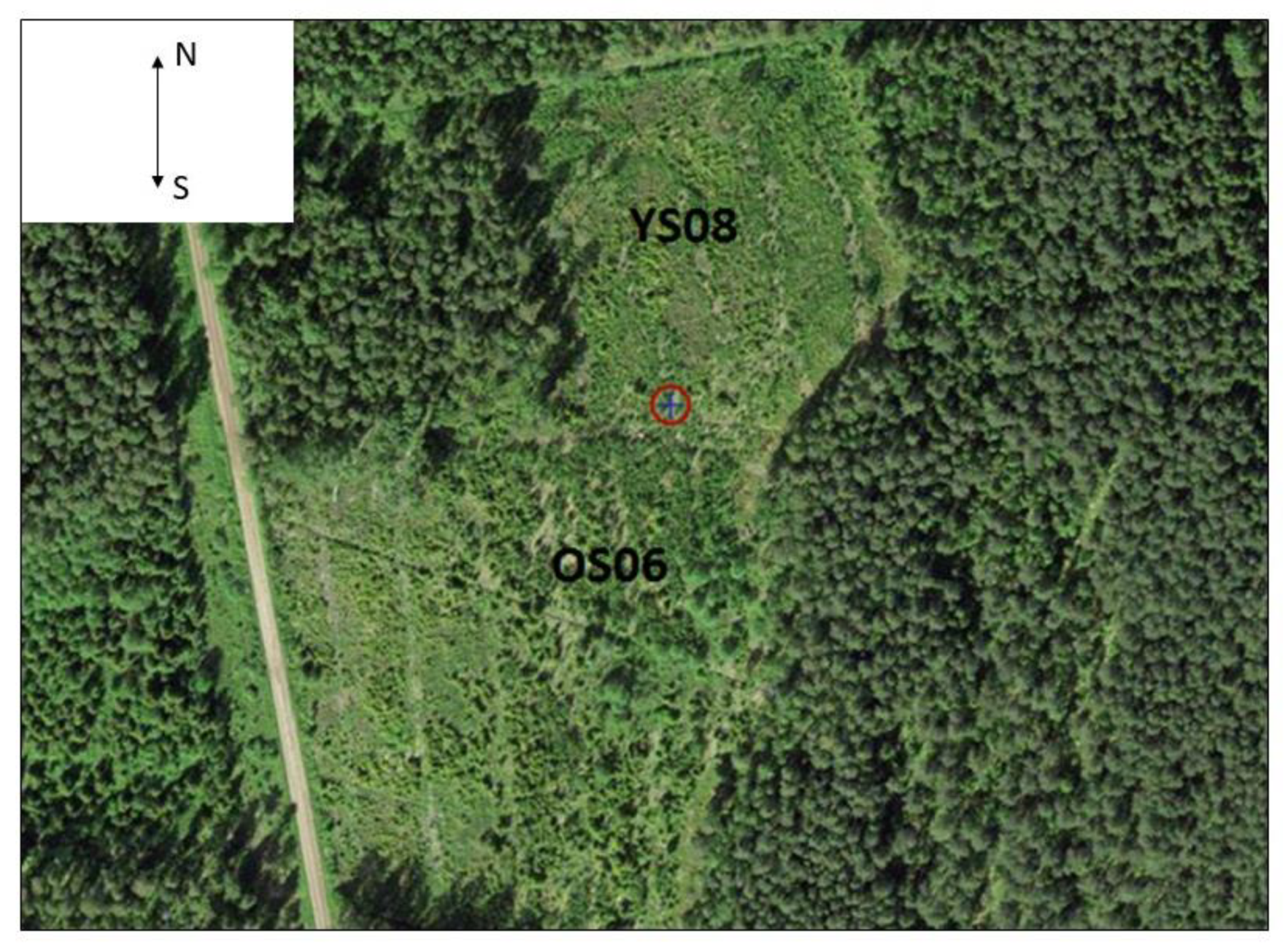 Forests 11 00126 g001 Forests 11 00126 g001