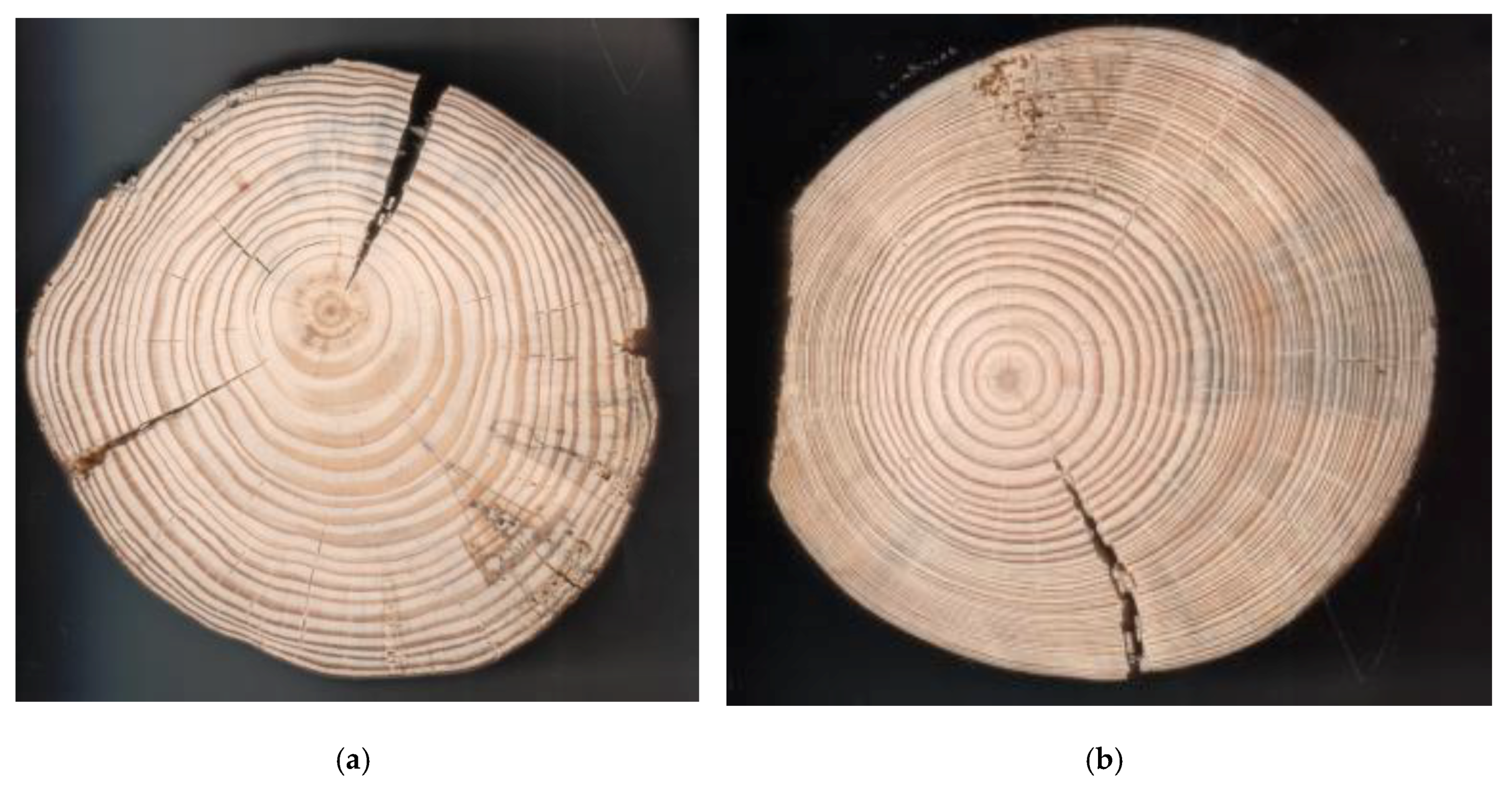 Forests 11 00138 g002