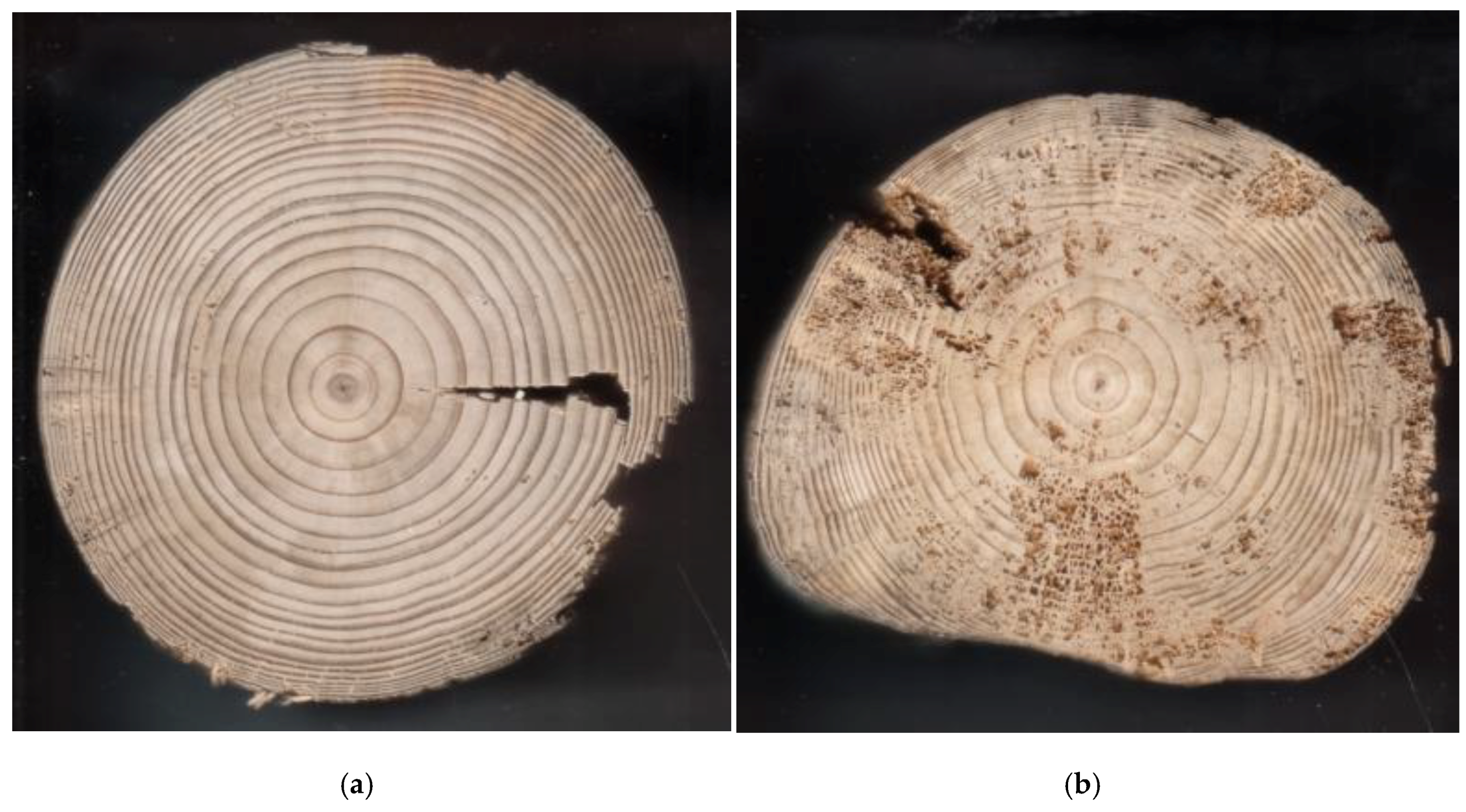 Forests 11 00138 g003