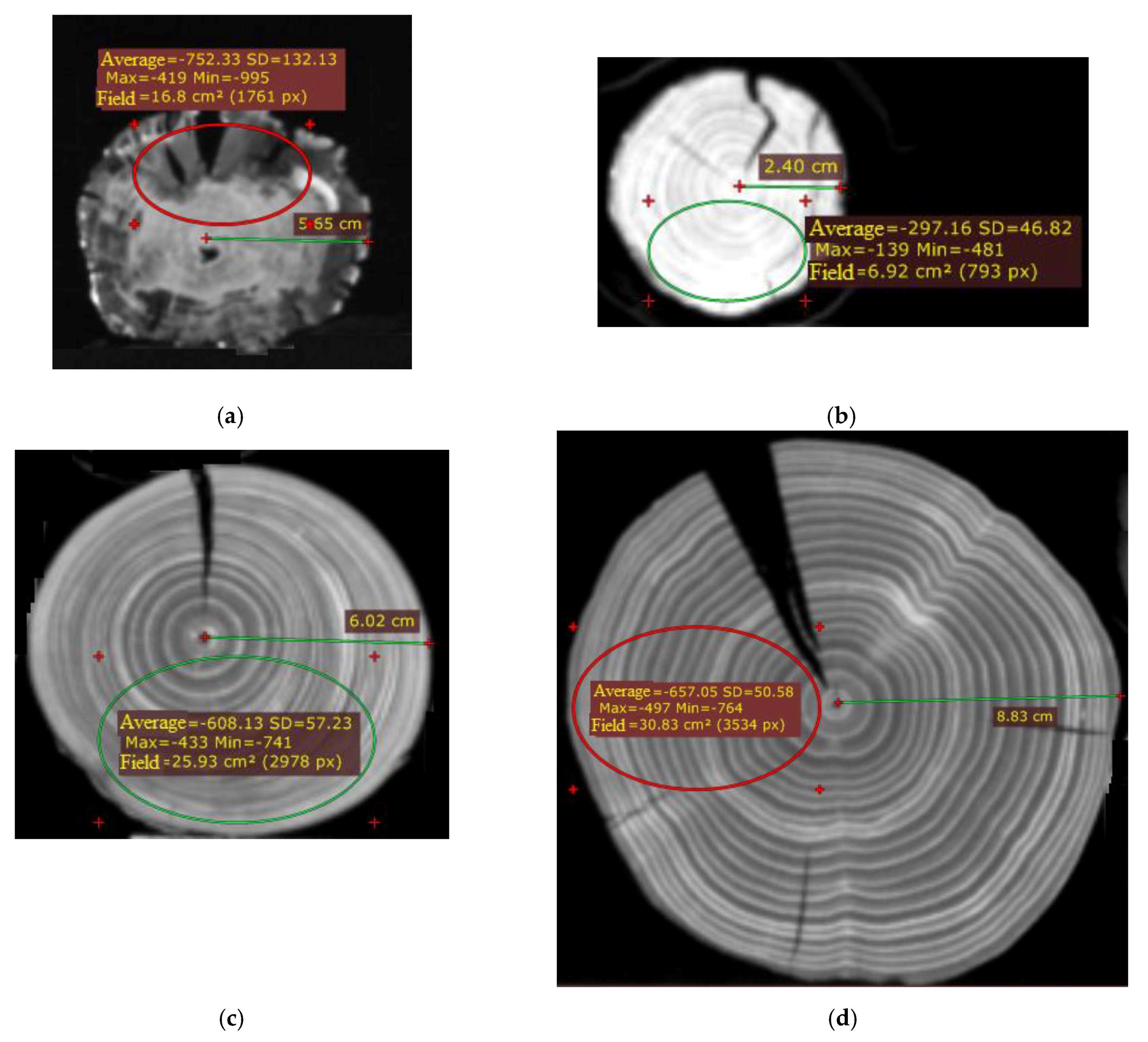 Forests 11 00138 g006
