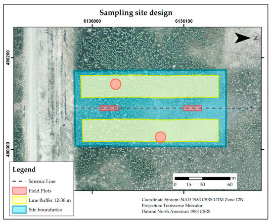 Forests 11 00141 g0a1