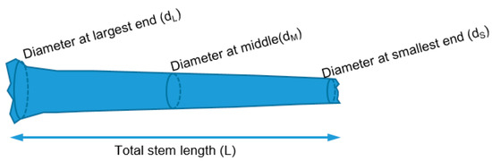 Forests 11 00141 g0a3