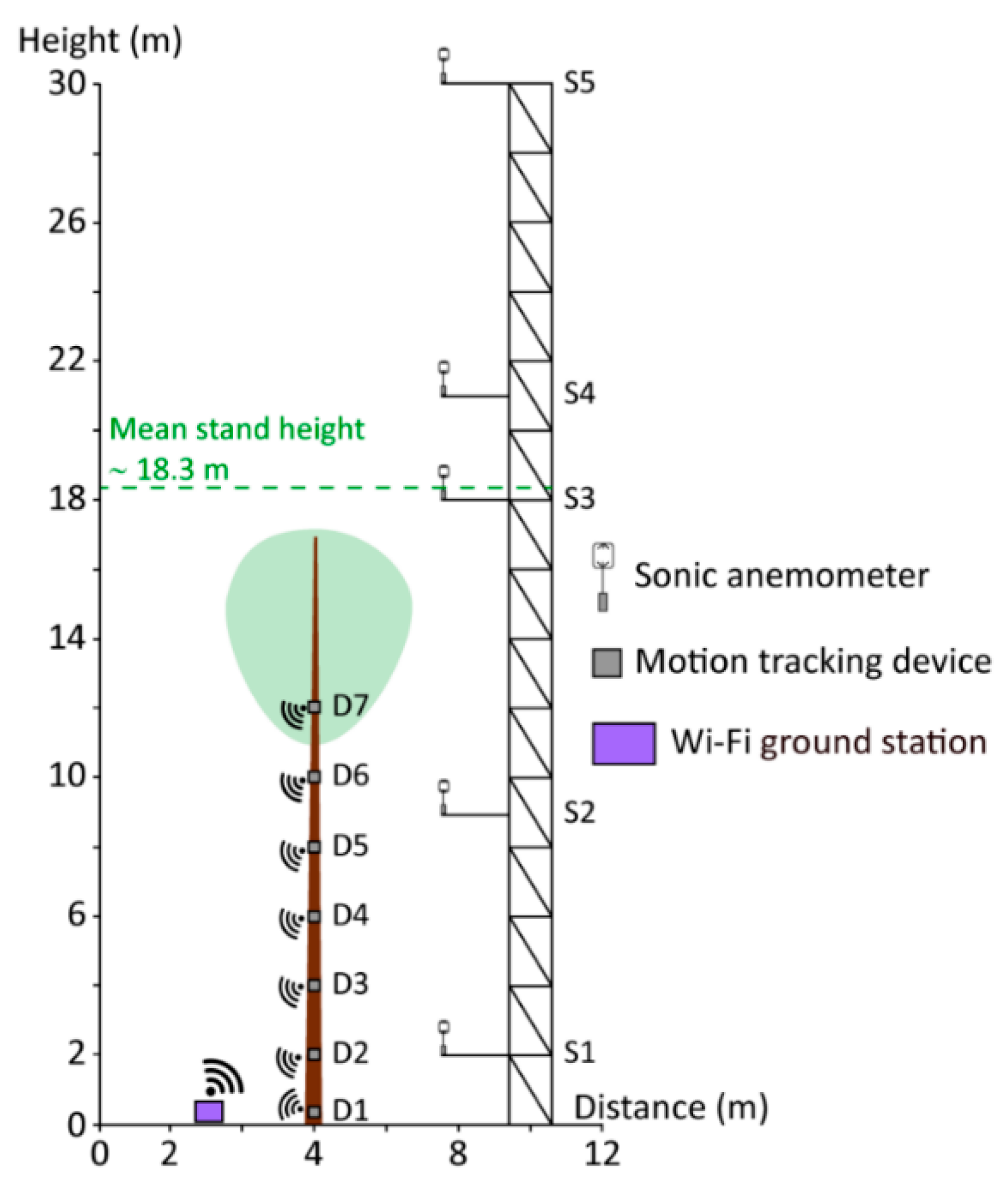 Forests 11 00145 g002