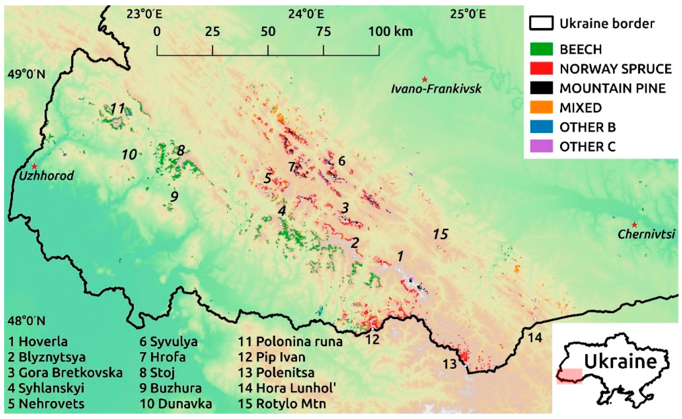 Forests 11 00151 g001