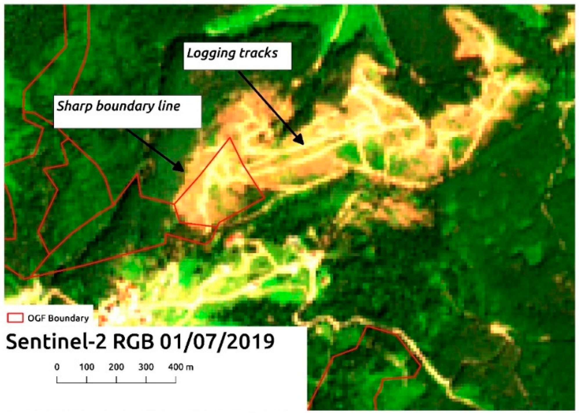 Forests 11 00151 g004
