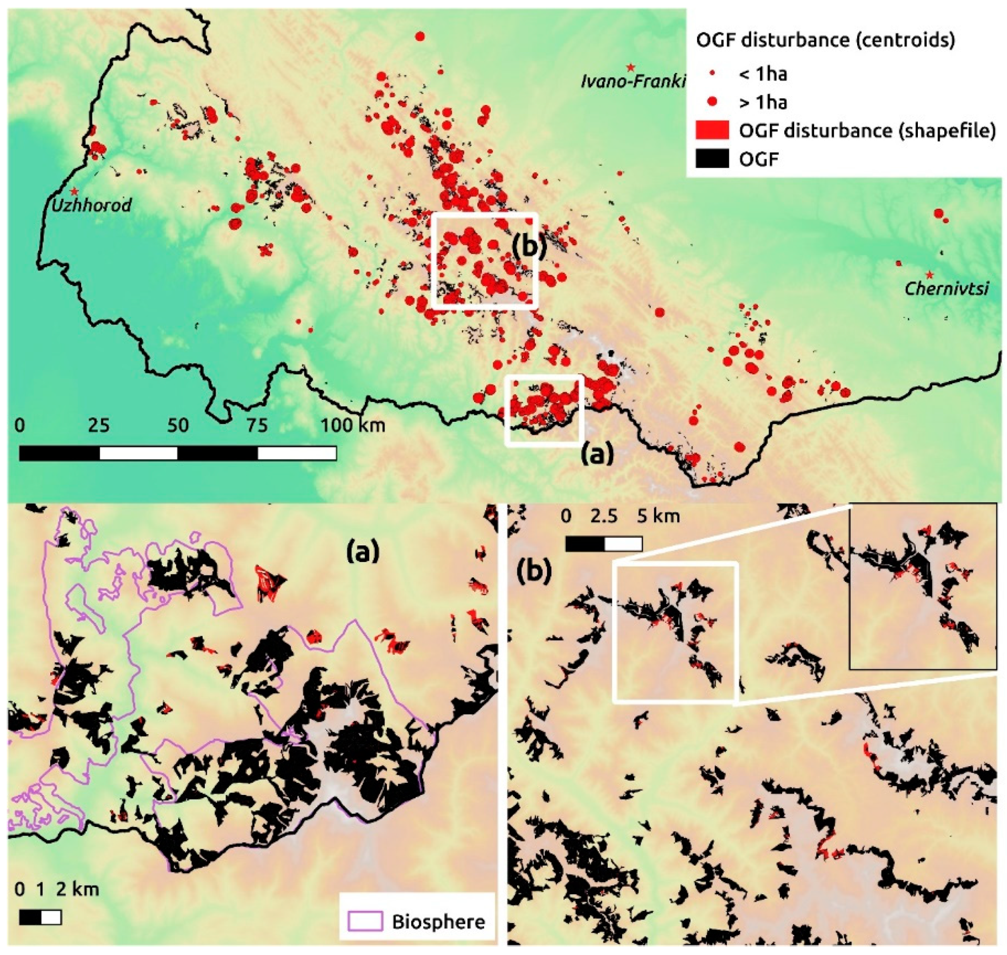 Forests 11 00151 g006
