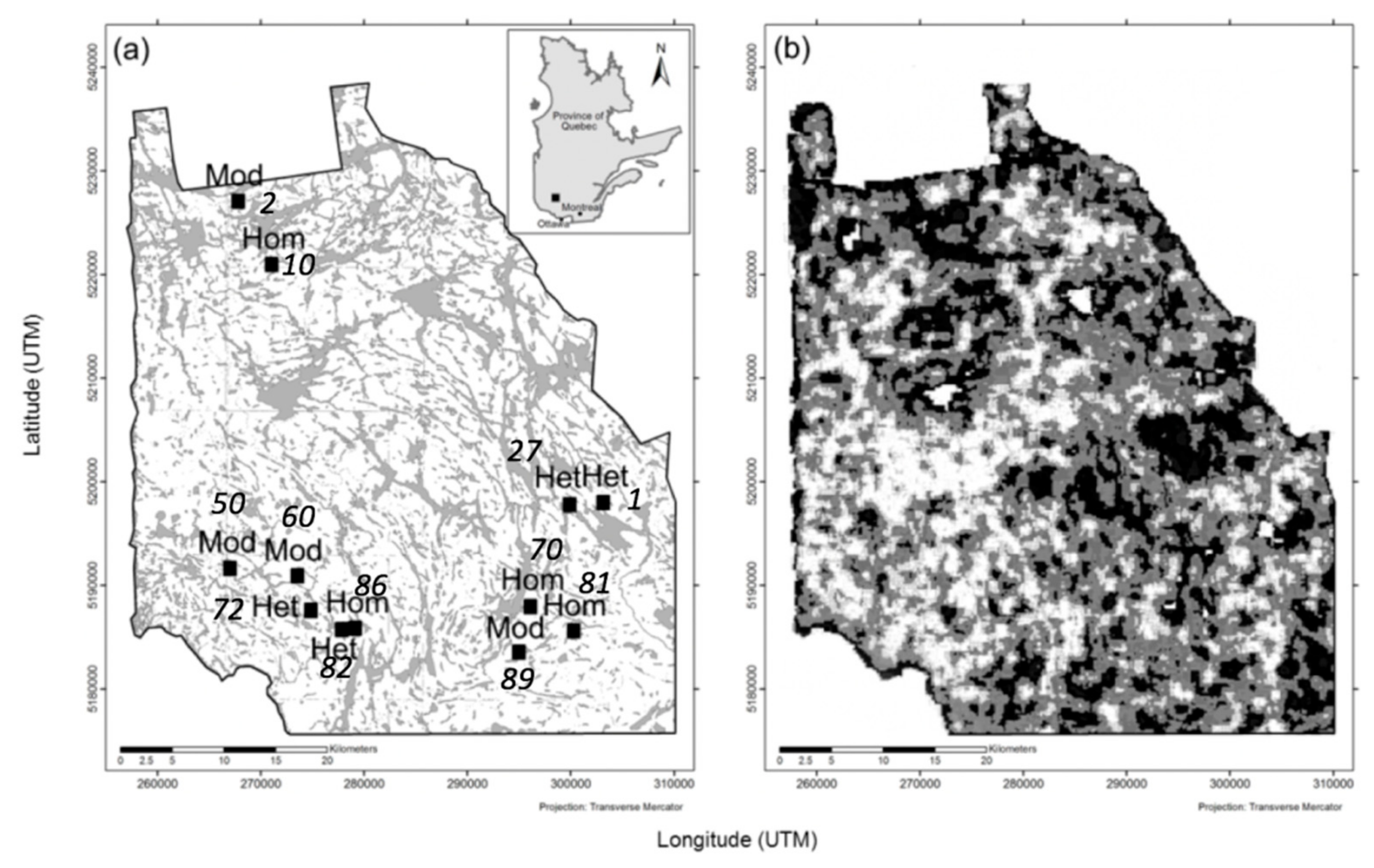 Forests 11 00160 g001 Forests 11 00160 g001