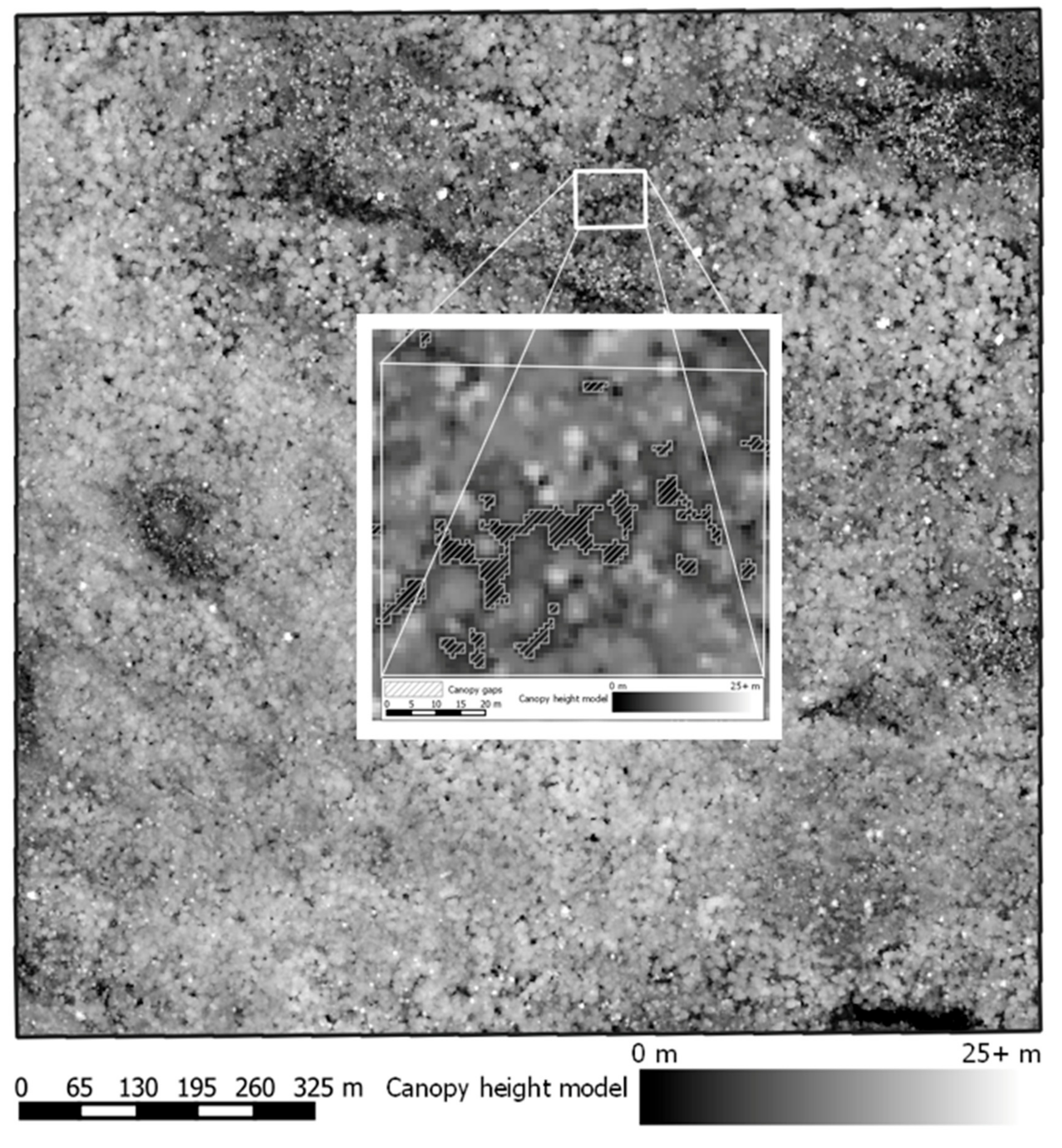 Forests 11 00160 g002 Forests 11 00160 g002