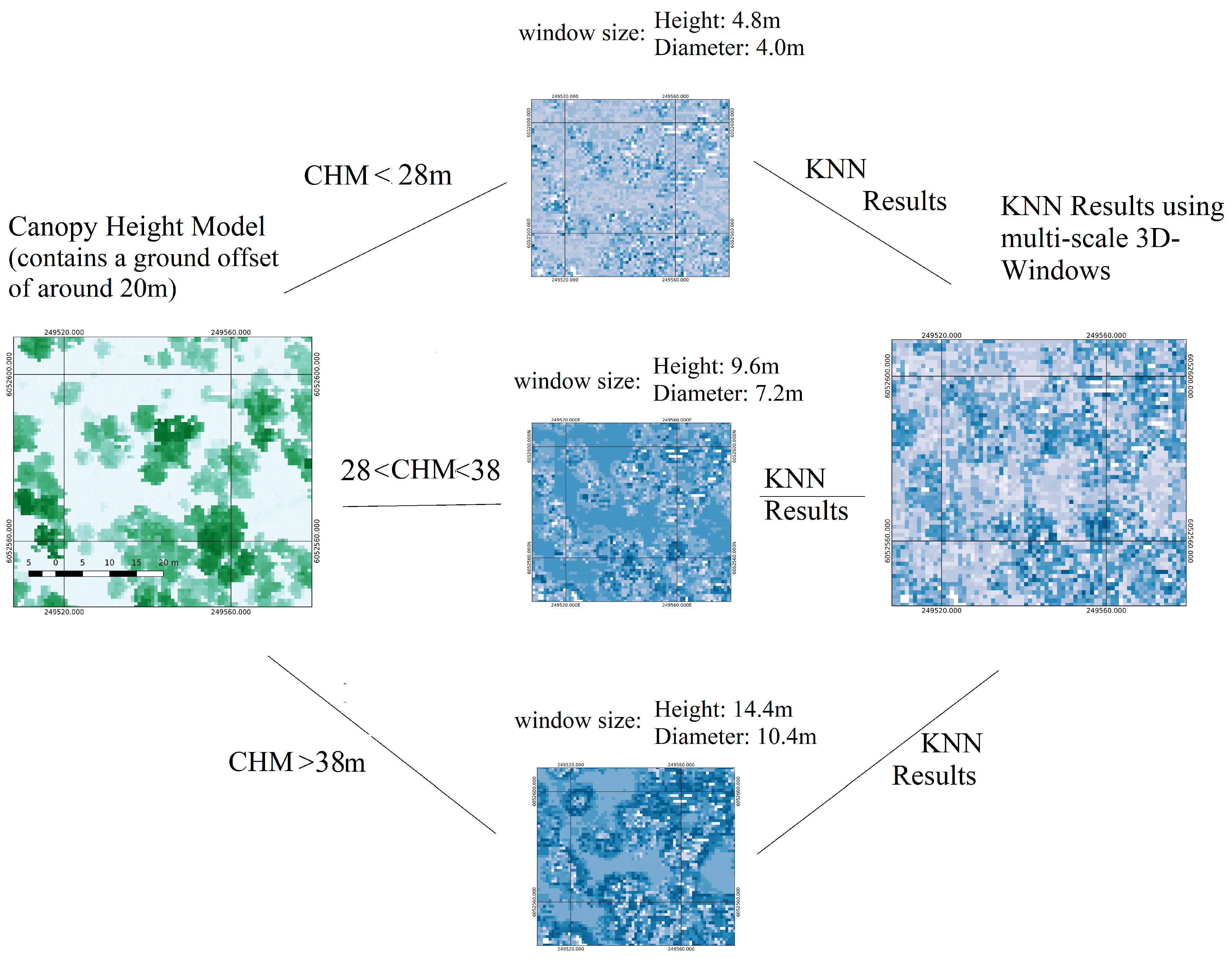 Forests 11 00161 g009