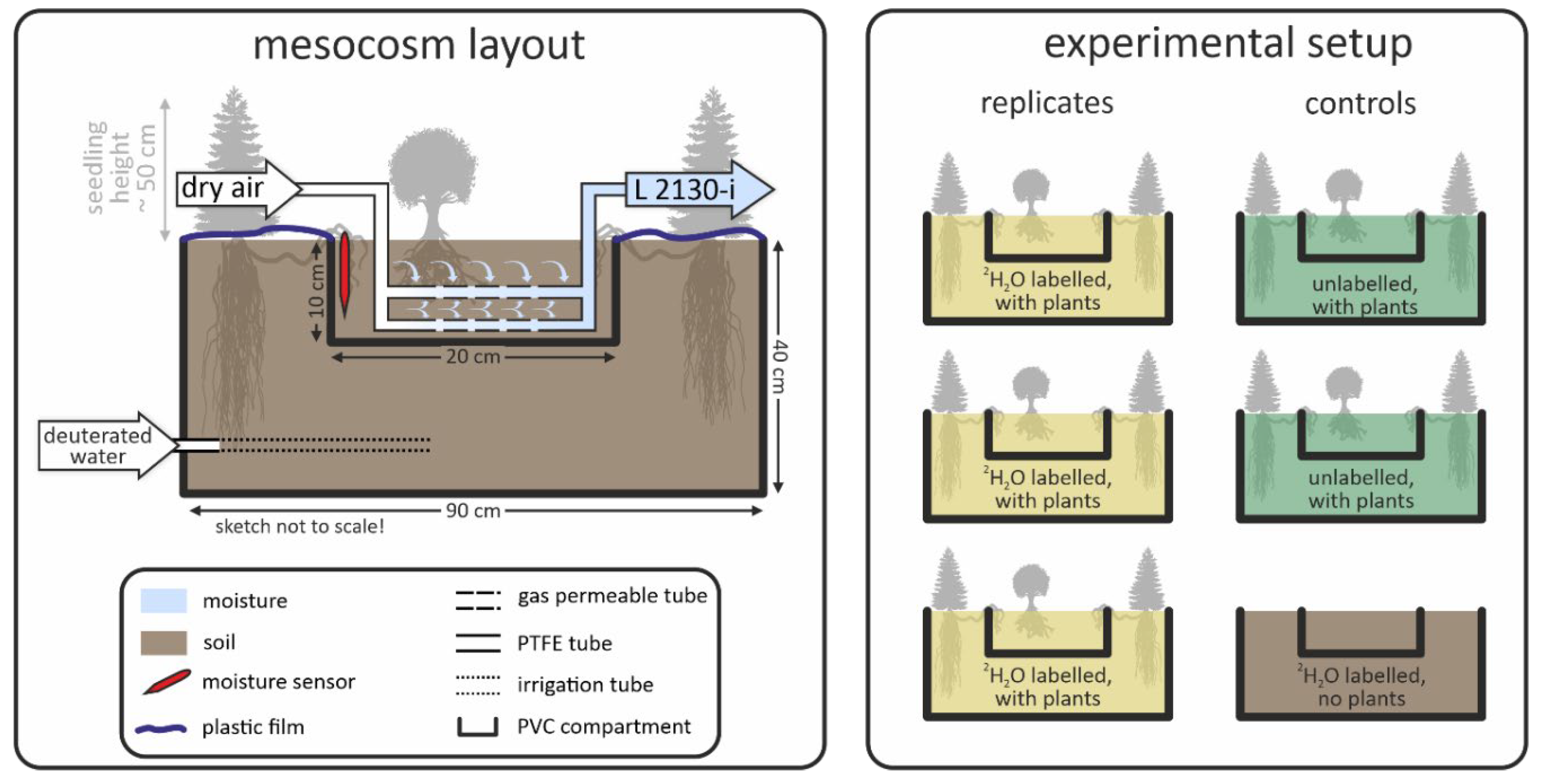 Forests 11 00162 g001