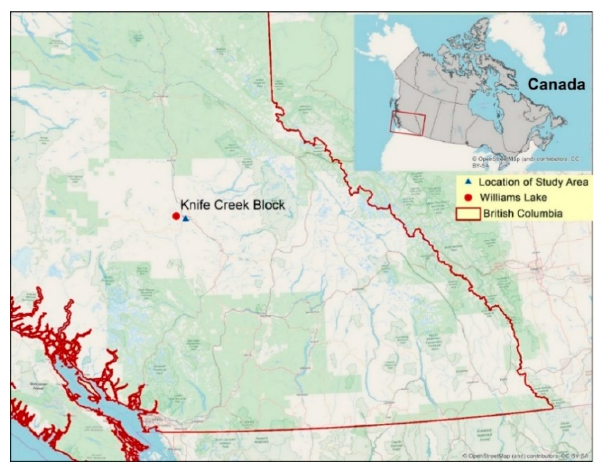 Forests 11 00167 g001