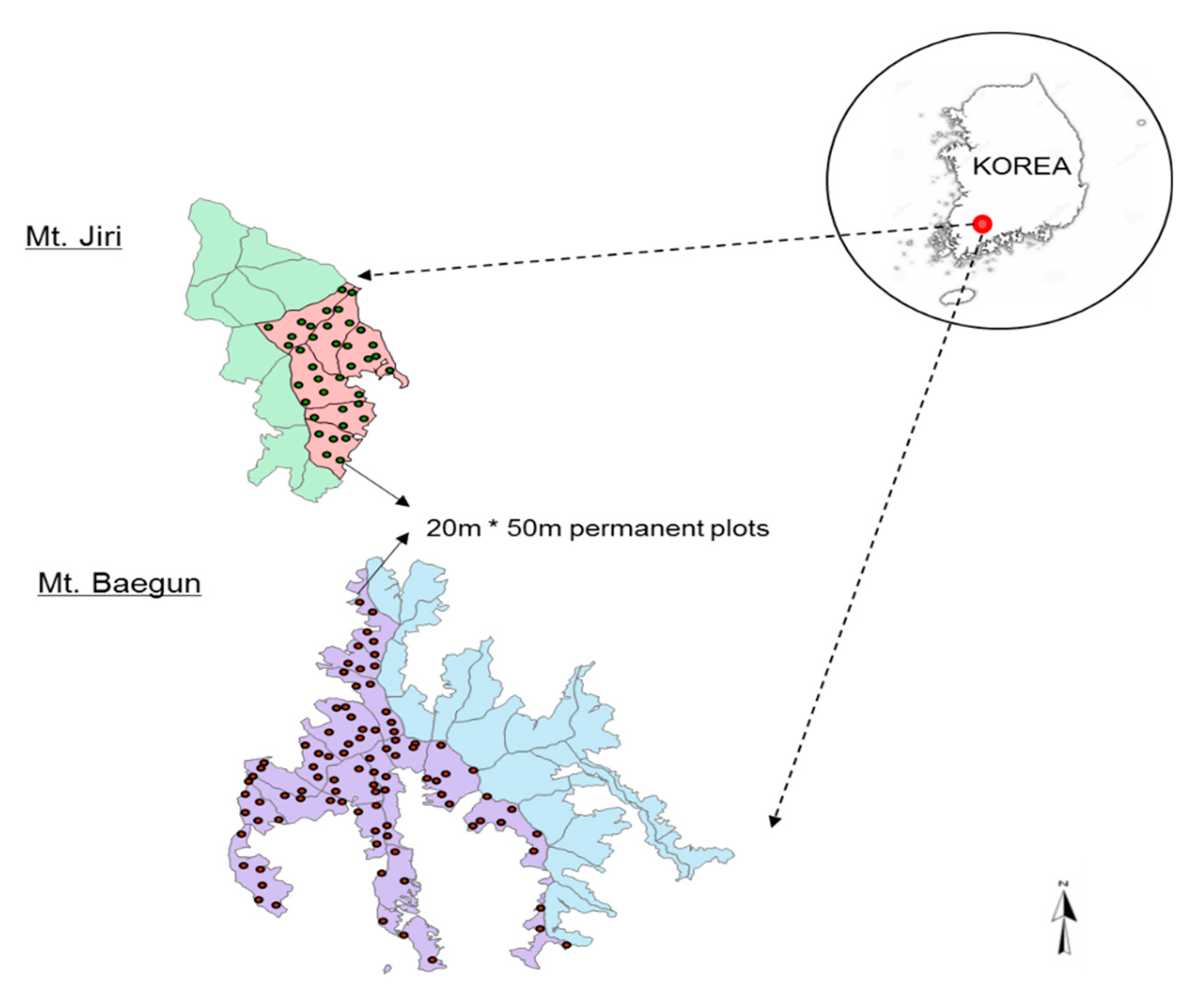 Forests 11 00186 g001 Forests 11 00186 g001