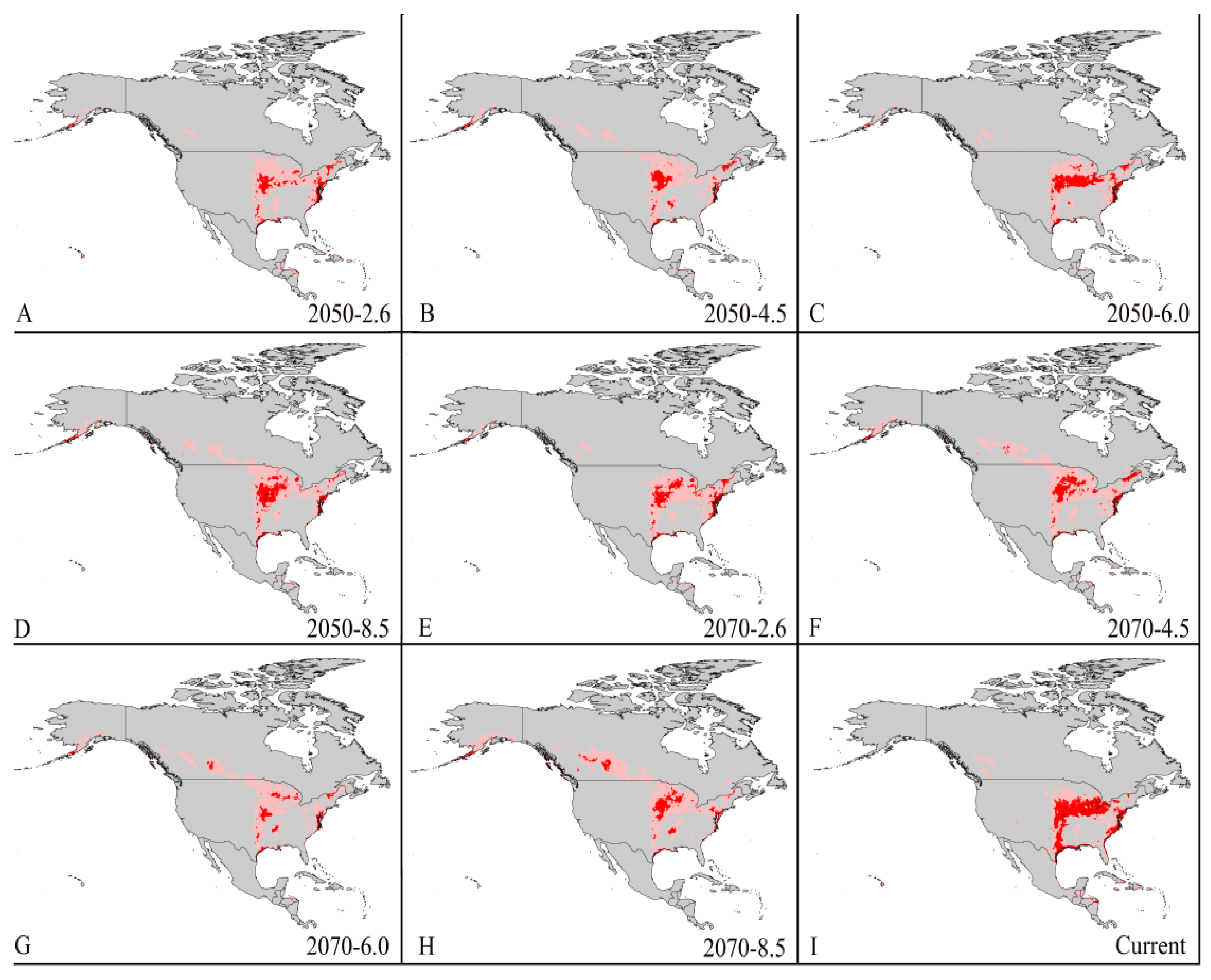 Forests 11 00192 g006