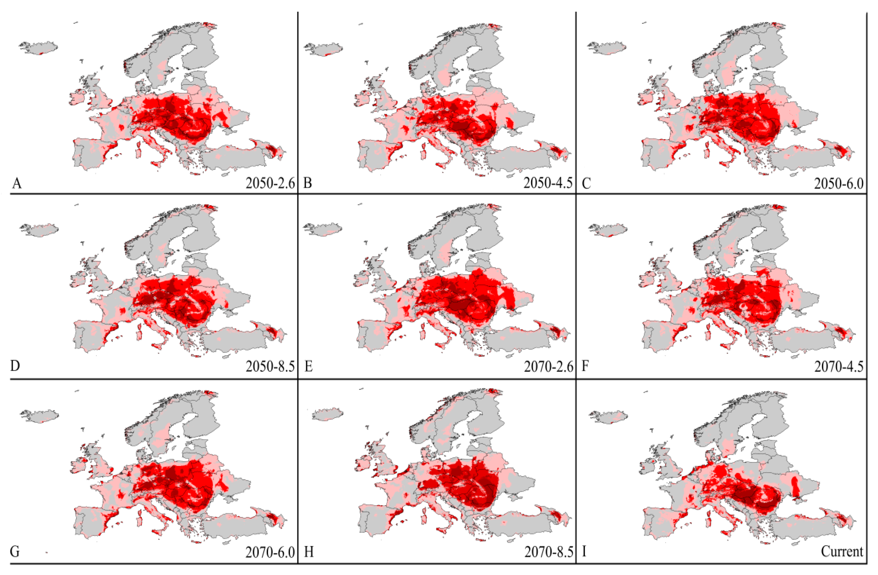 Forests 11 00192 g007