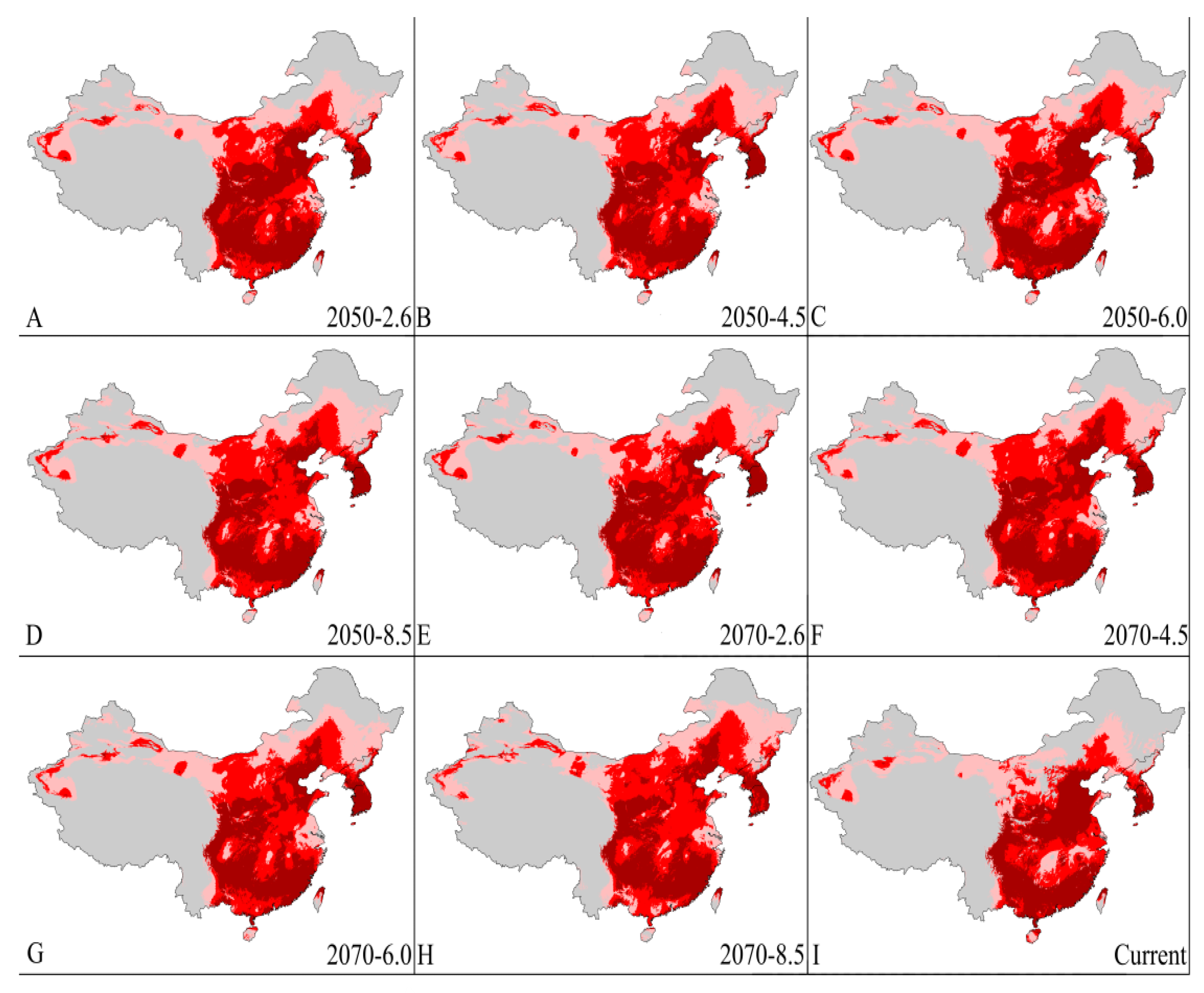 Forests 11 00192 g008