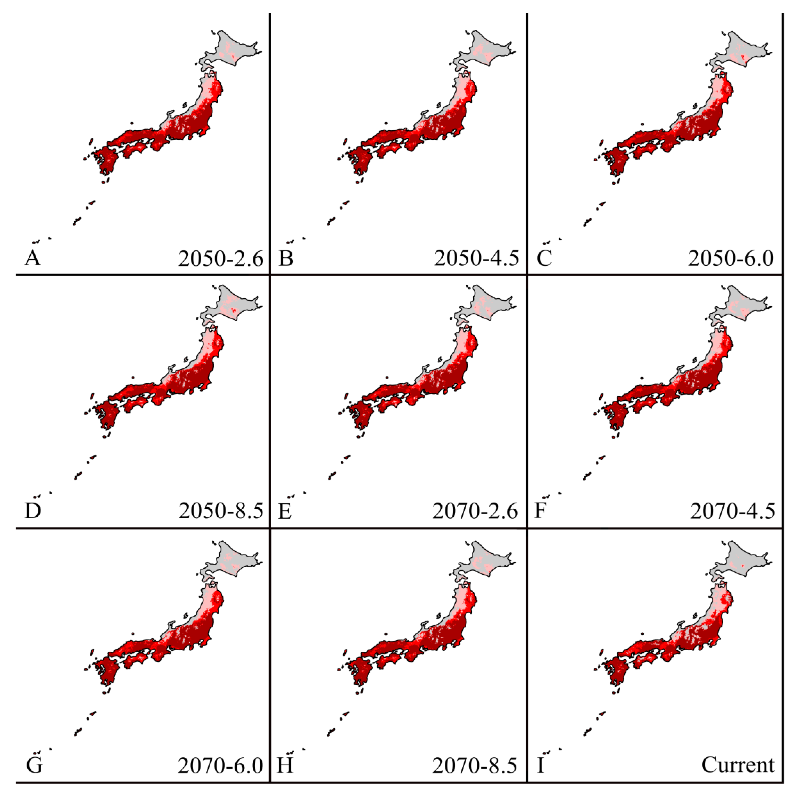 Forests 11 00192 g009