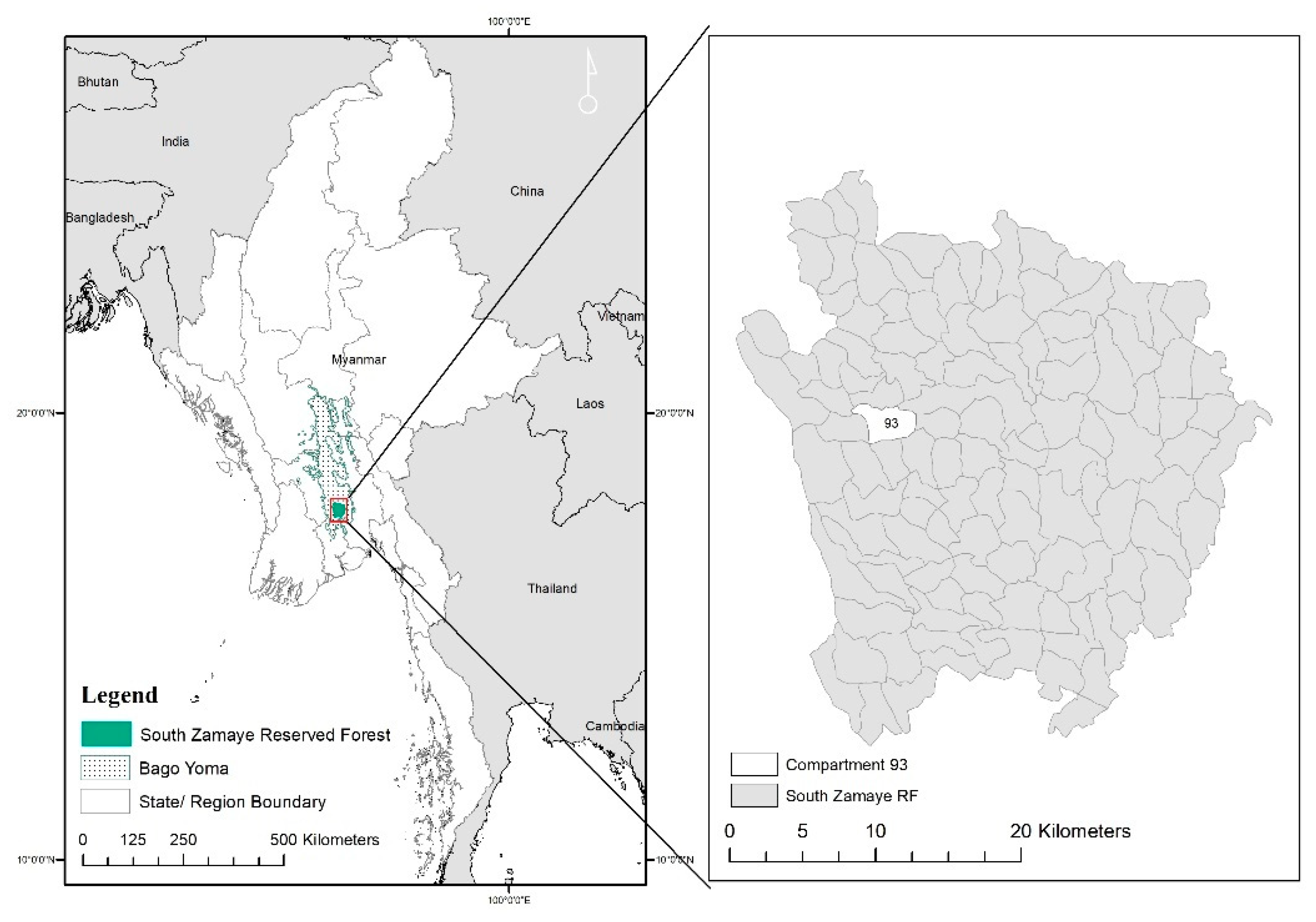 Forests 11 00195 g001
