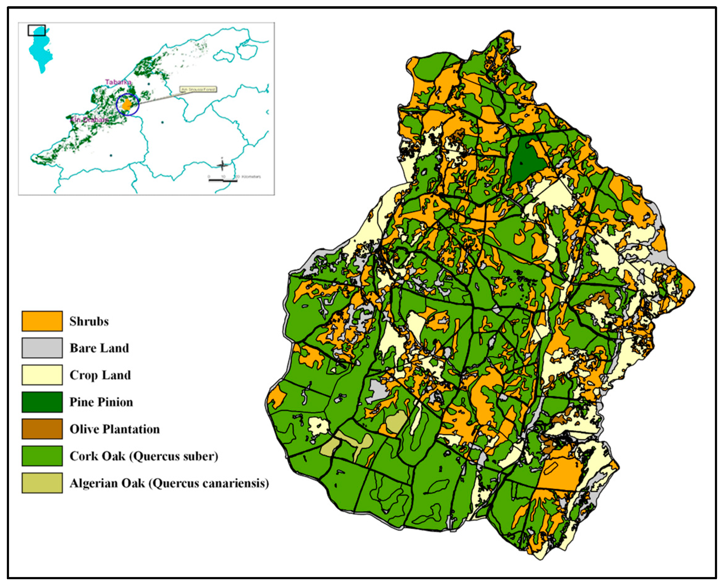 Forests 11 00197 g001 Forests 11 00197 g001