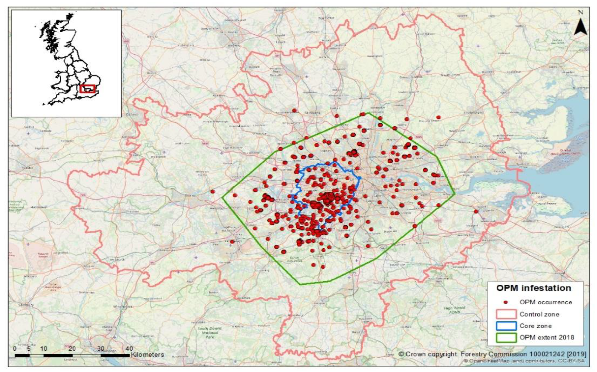 Forests 11 00199 g001