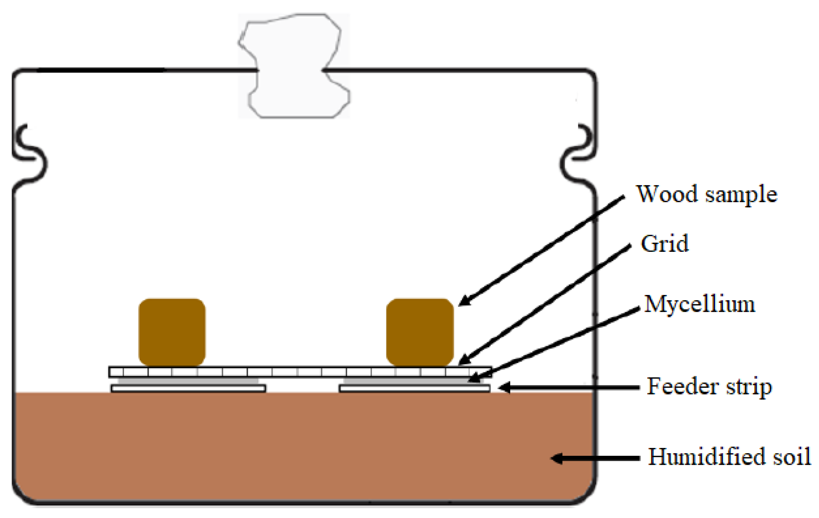 Forests 11 00201 g001