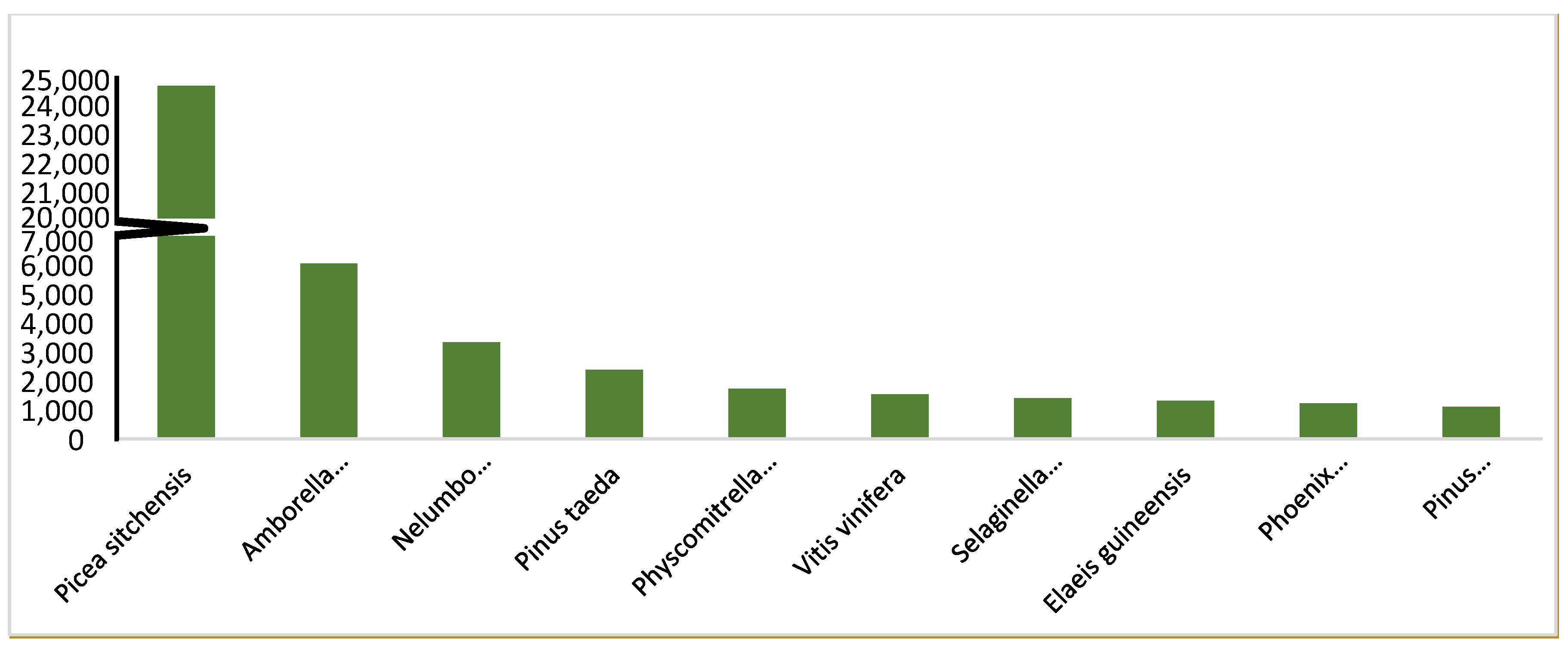 Forests 11 00204 g004
