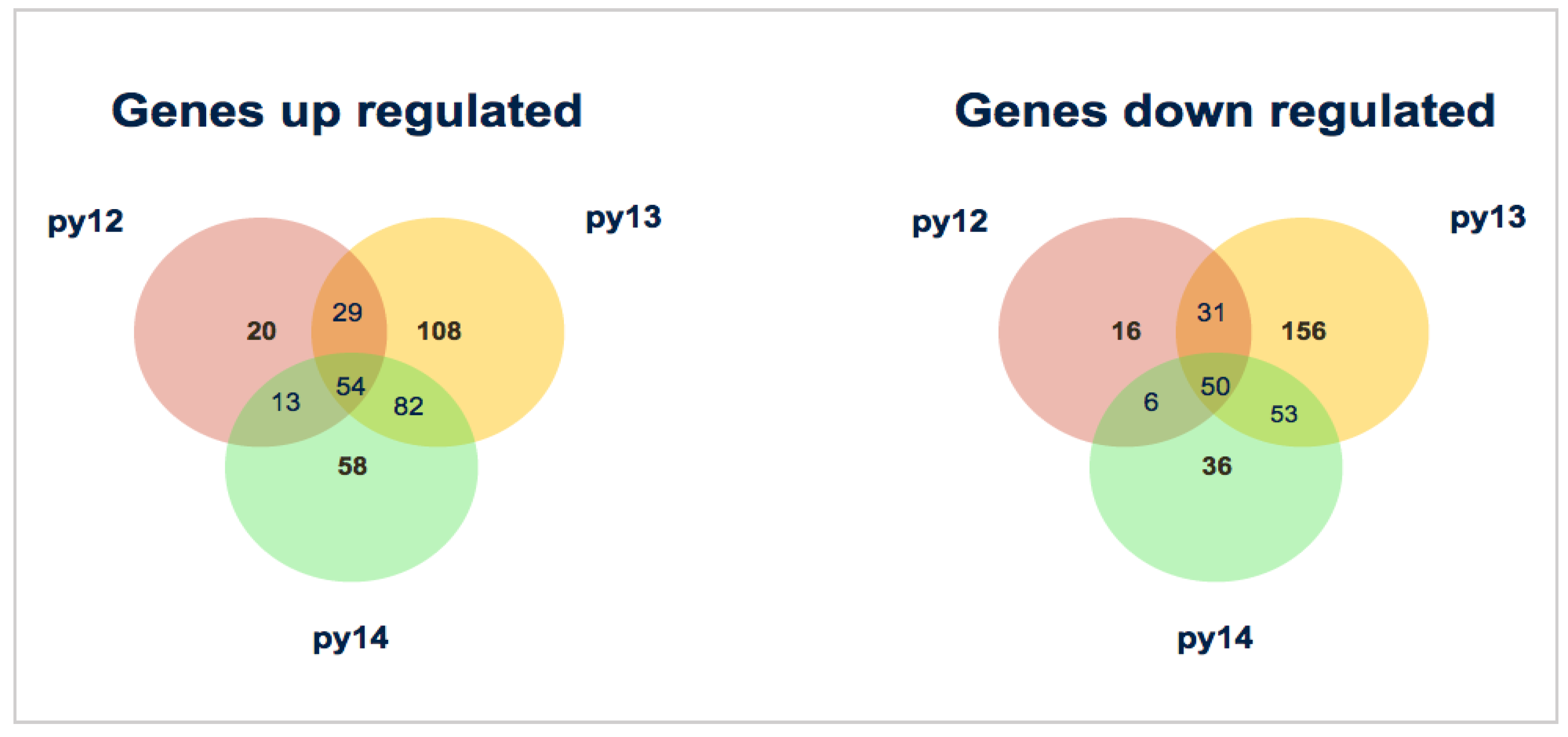 Forests 11 00204 g006