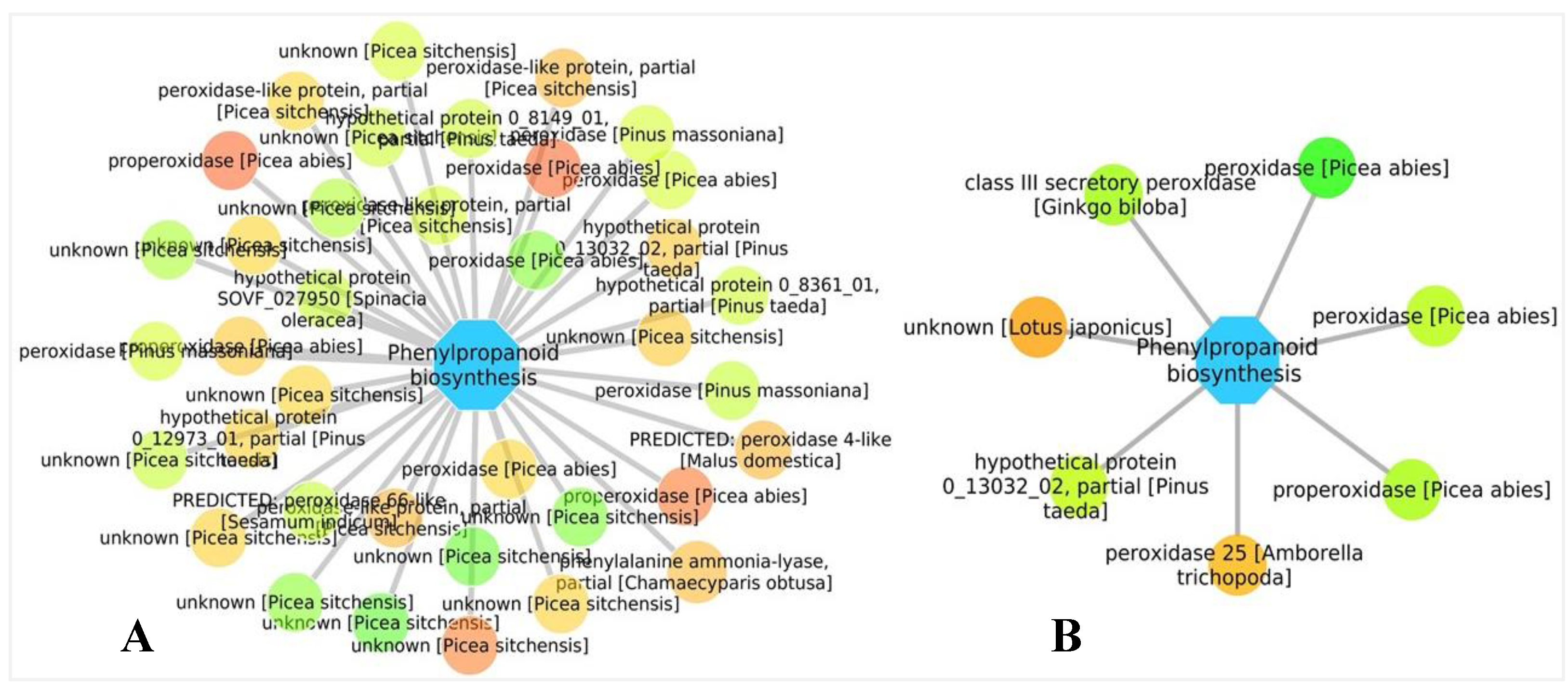 Forests 11 00204 g007