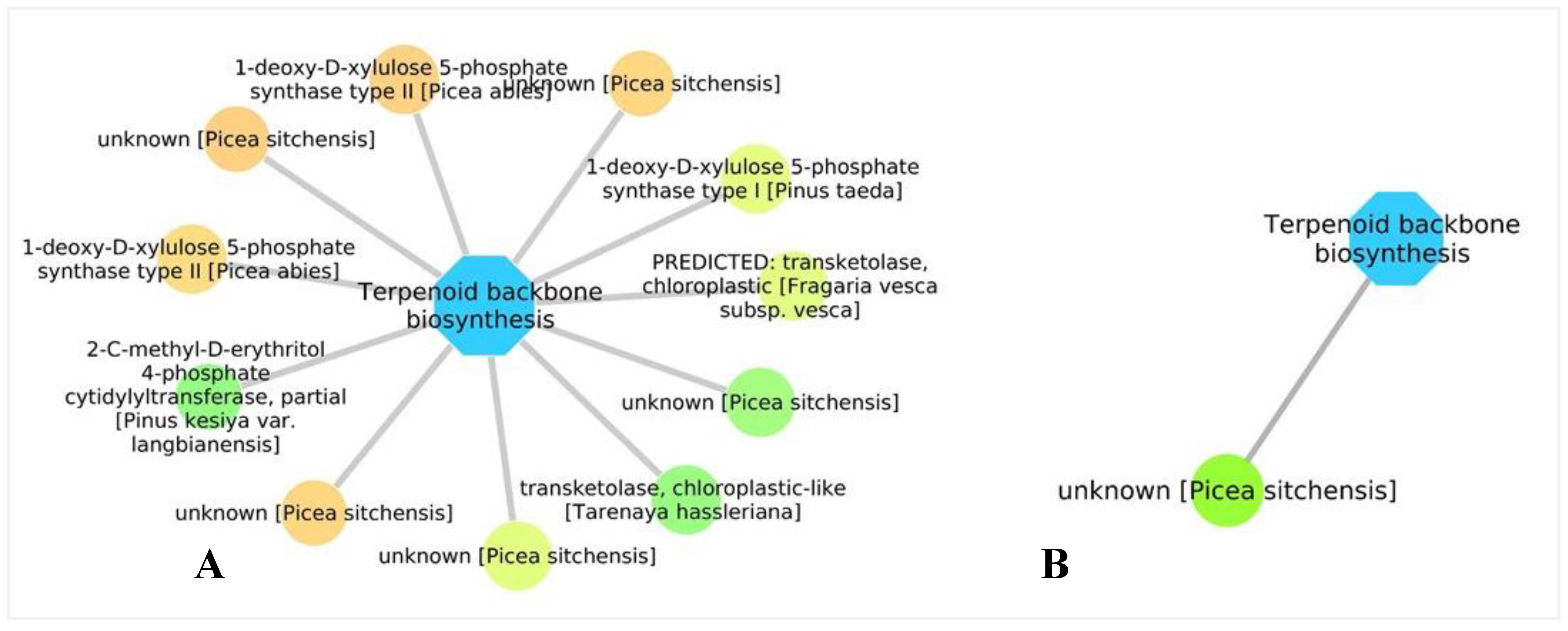 Forests 11 00204 g009