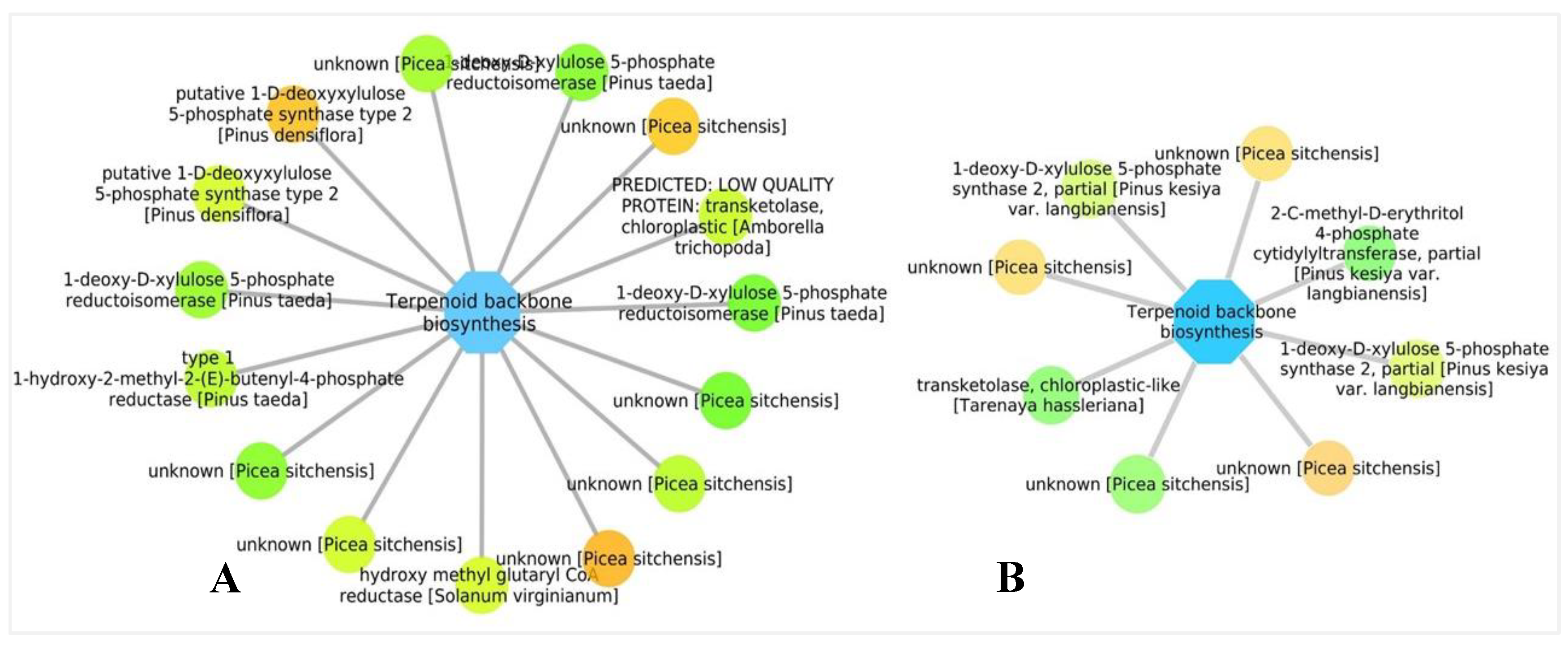 Forests 11 00204 g010