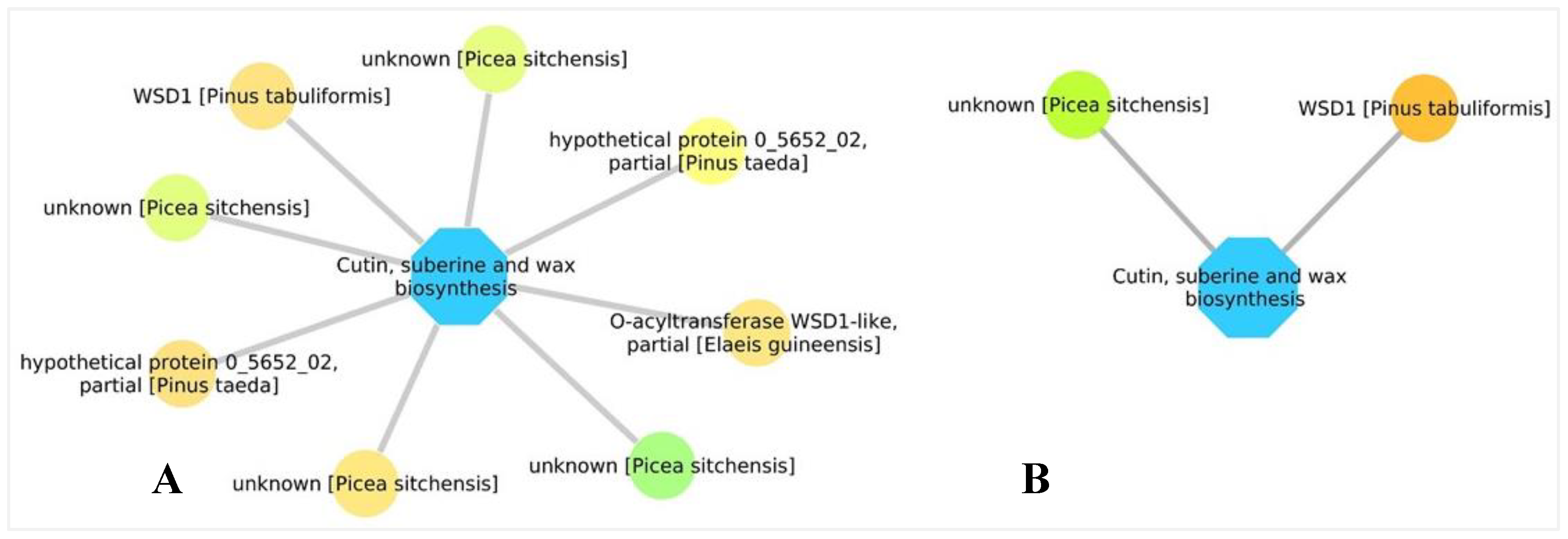 Forests 11 00204 g011