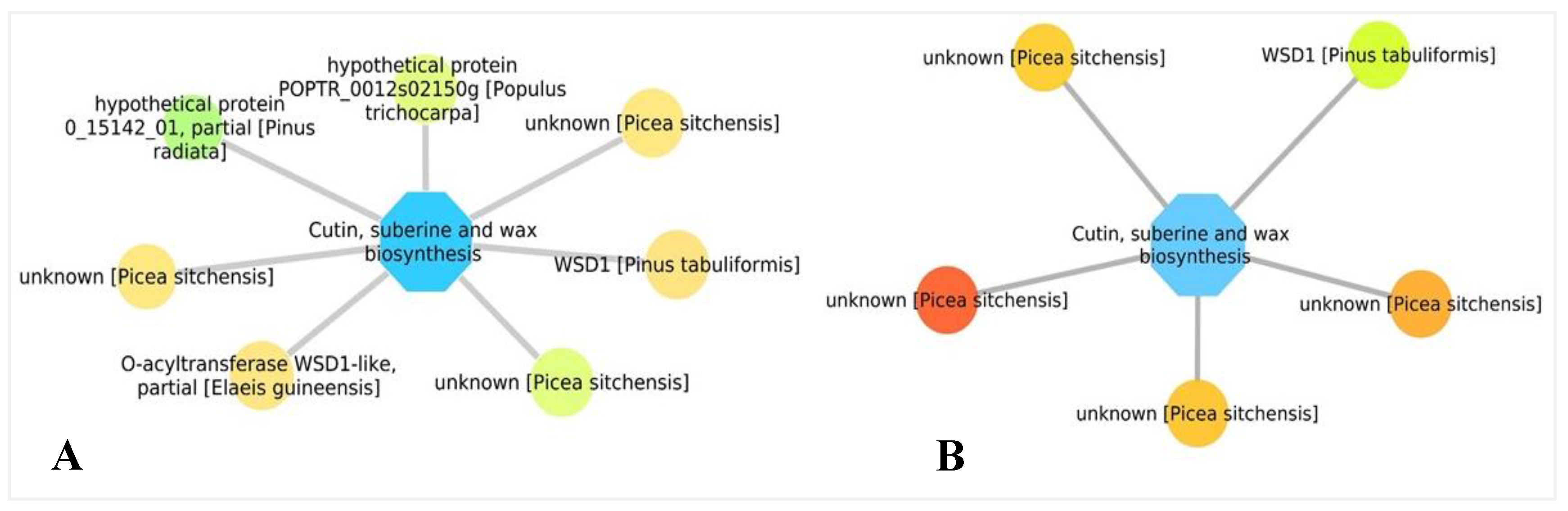 Forests 11 00204 g012