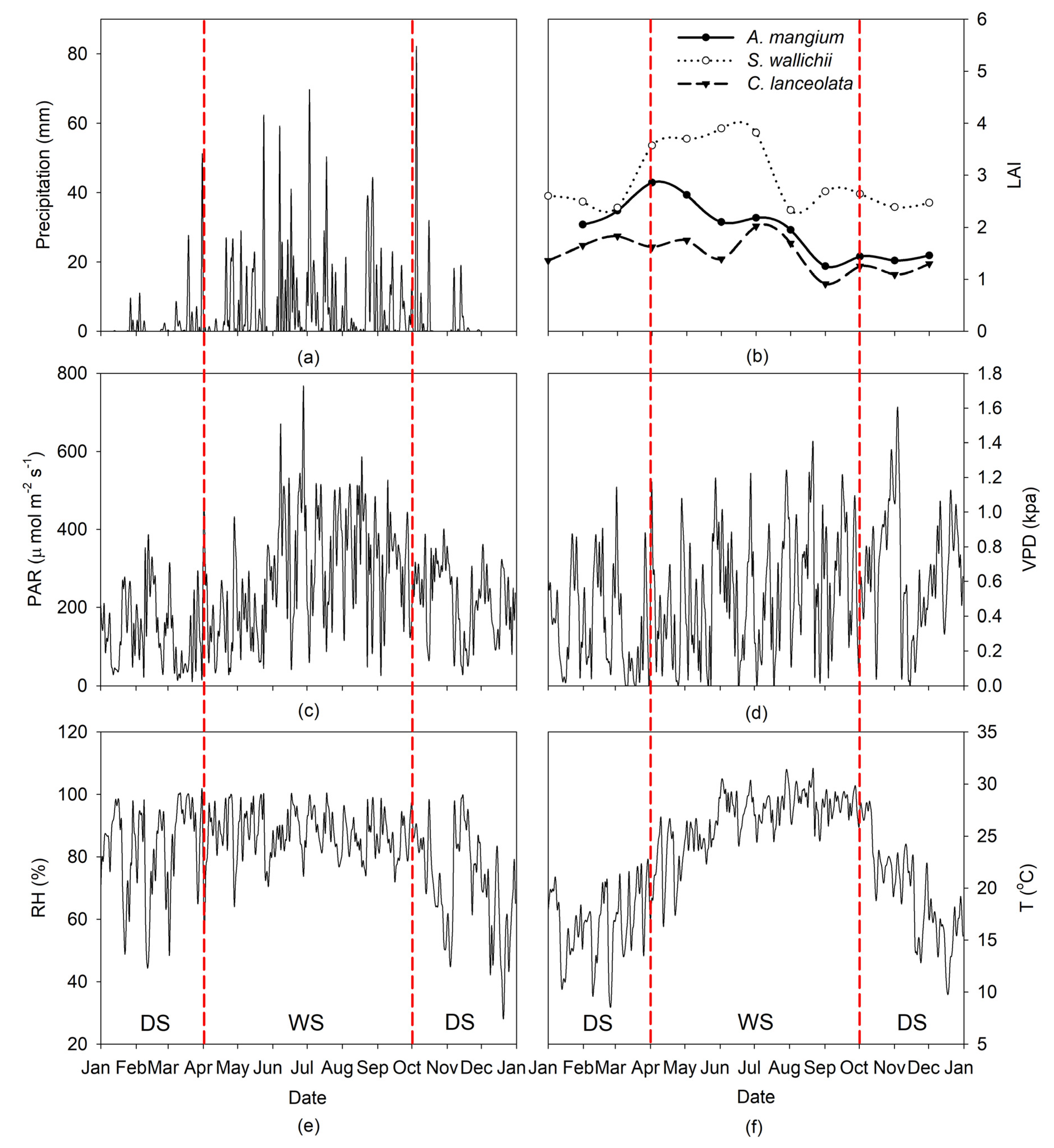 Forests 11 00206 g001