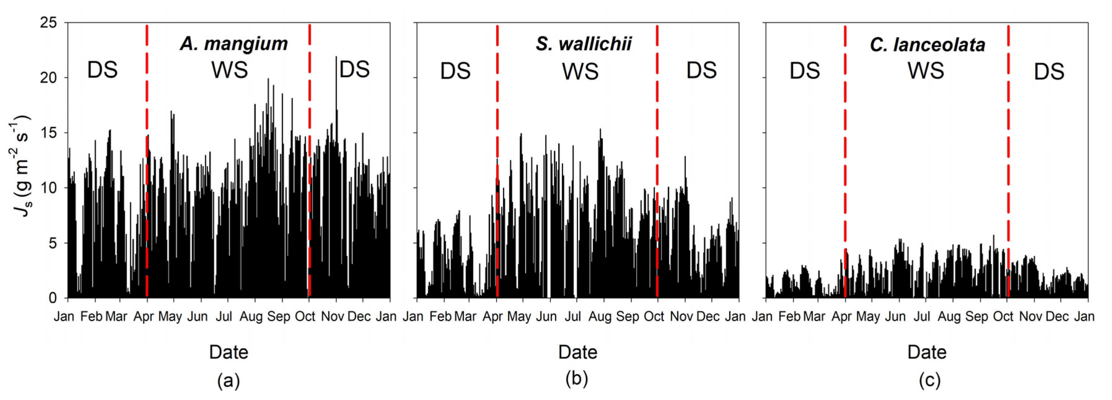 Forests 11 00206 g003