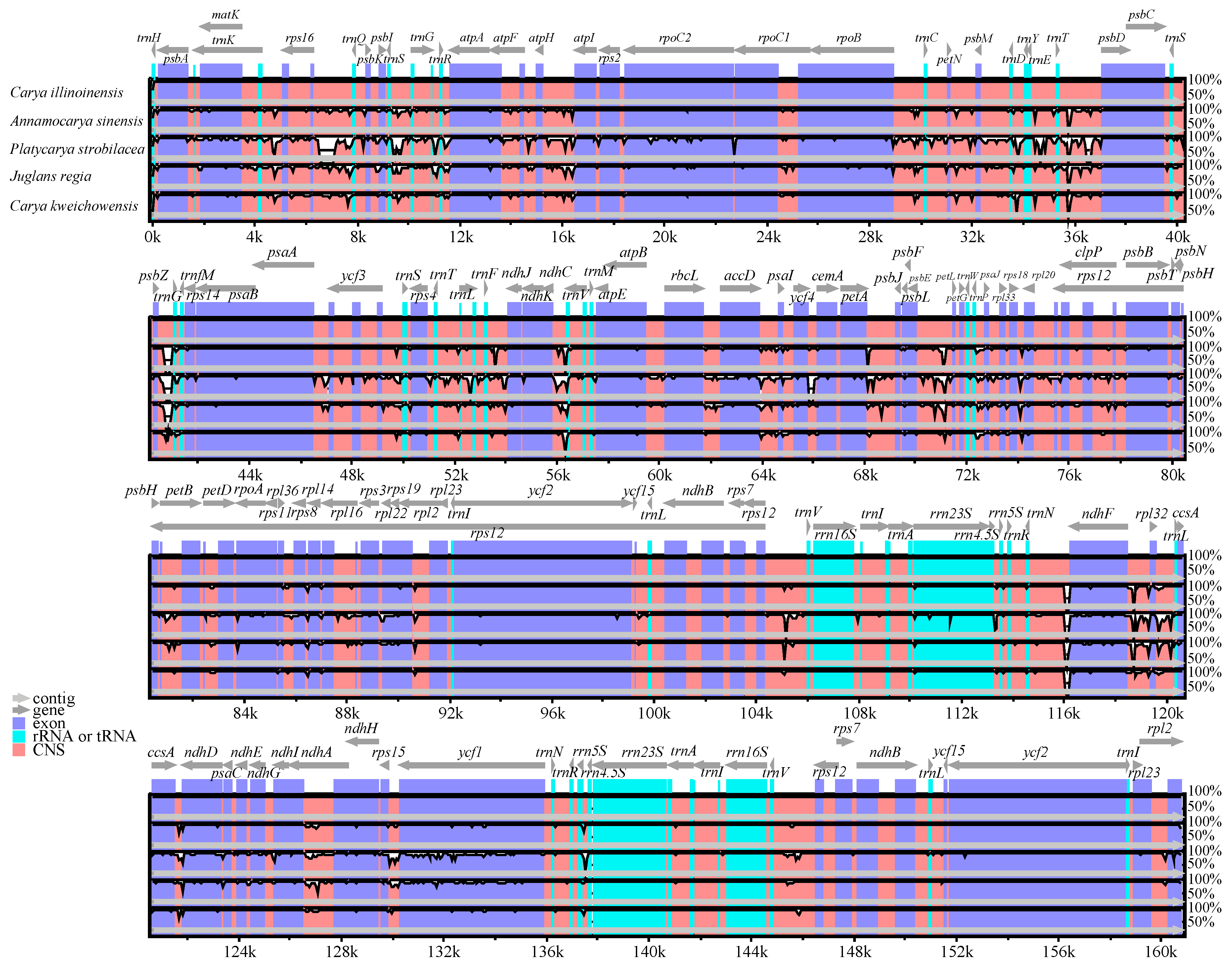 Forests 11 00207 g003 Forests 11 00207 g003