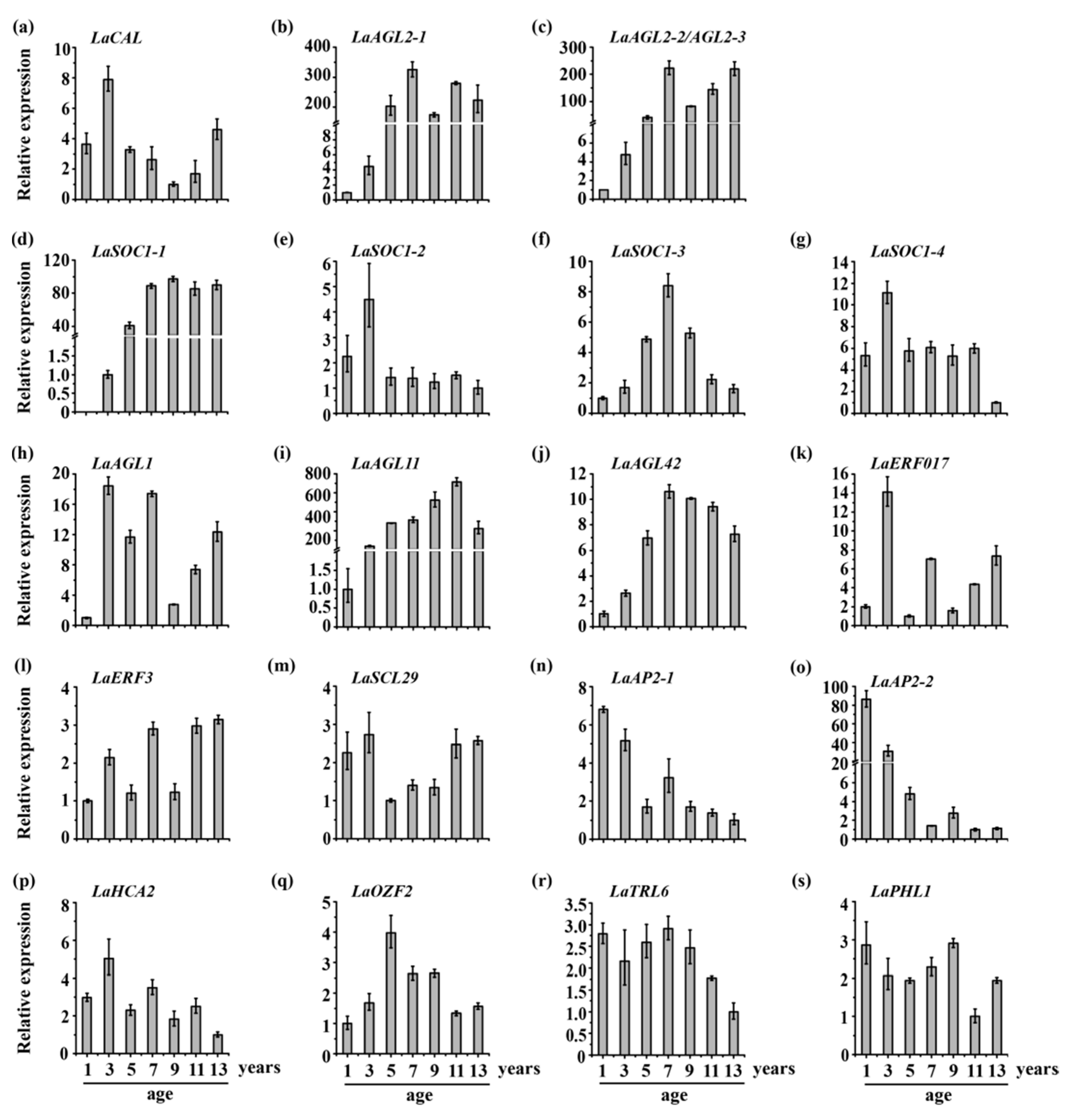 Forests 11 00218 g003 Forests 11 00218 g003