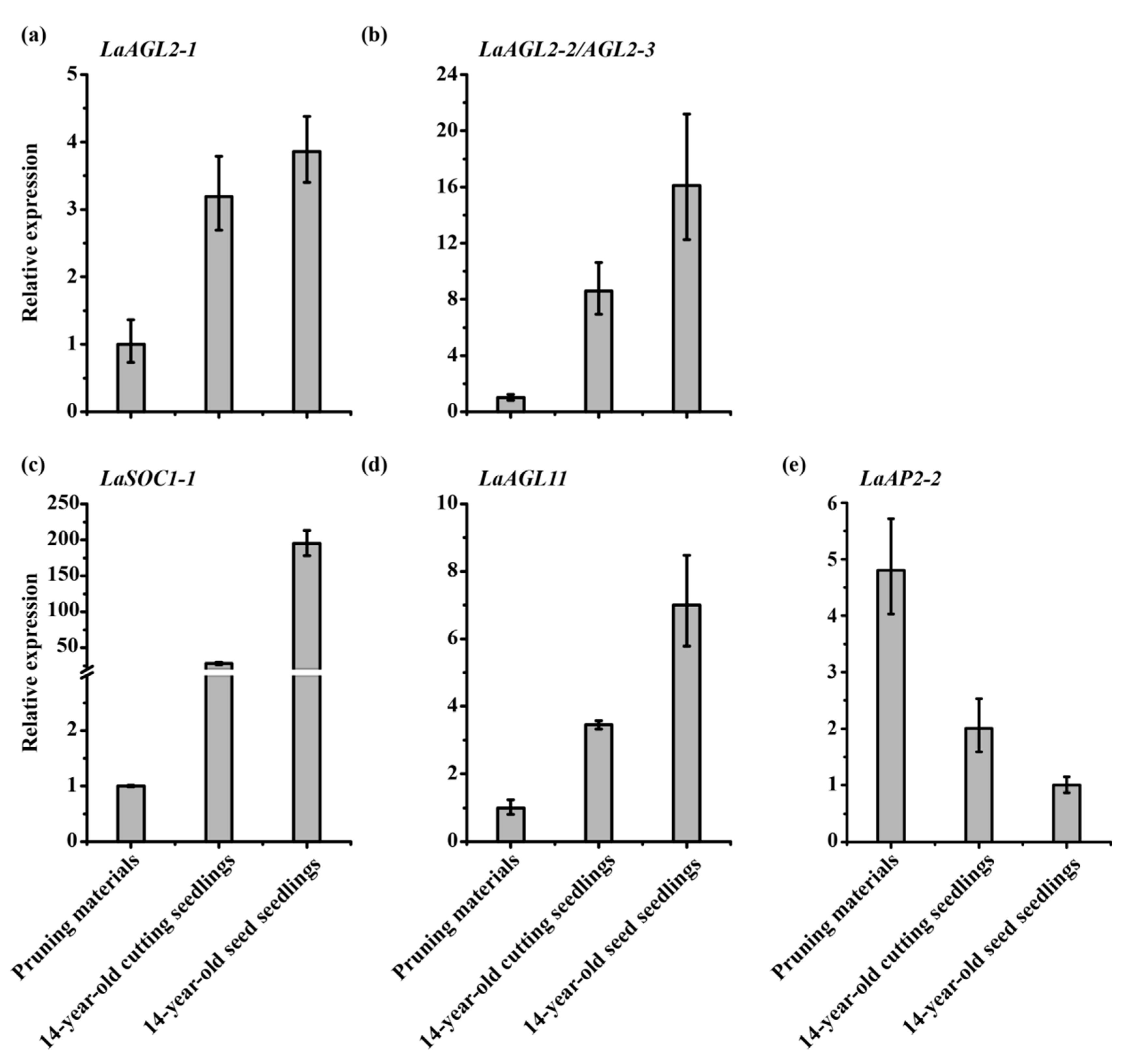 Forests 11 00218 g004 Forests 11 00218 g004