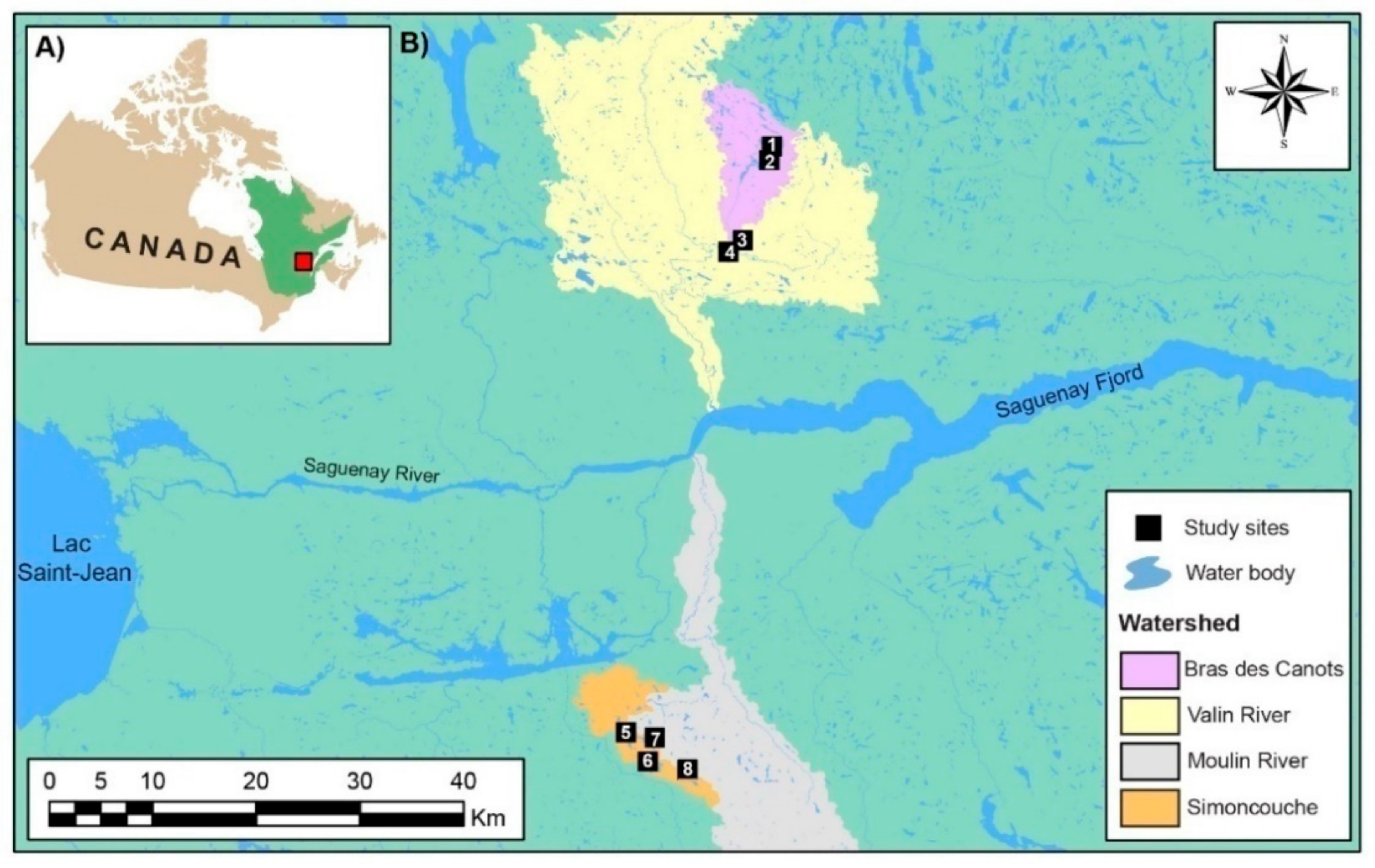 Forests 11 00221 g001