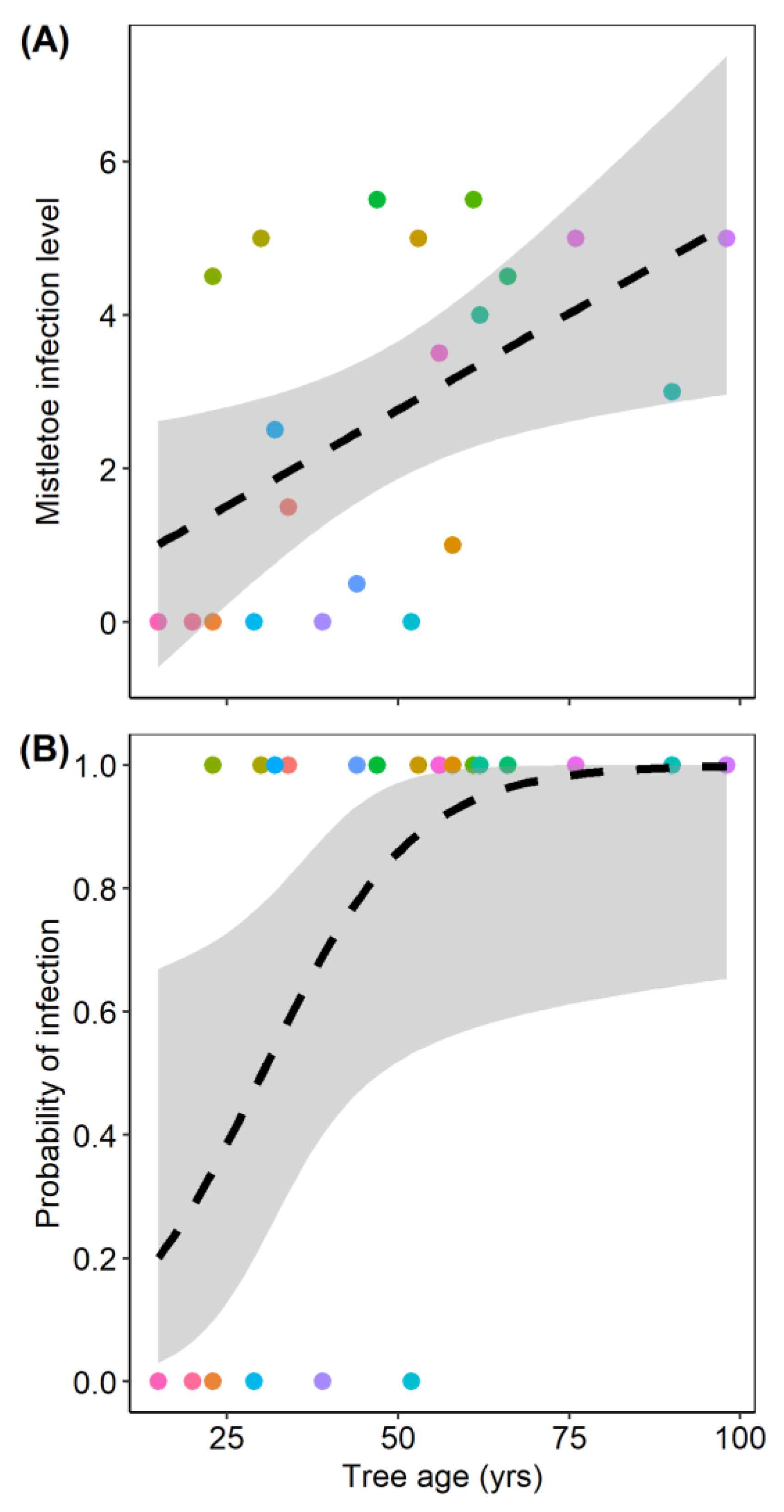 Forests 11 00222 g004