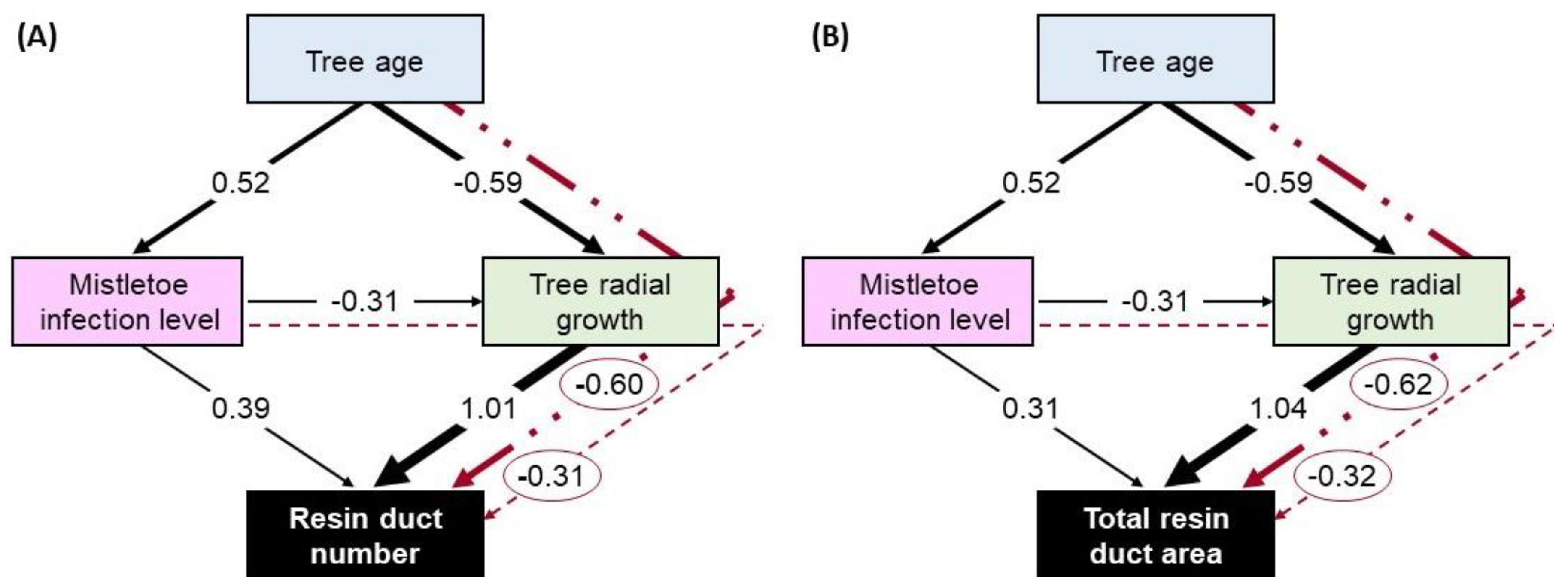Forests 11 00222 g005
