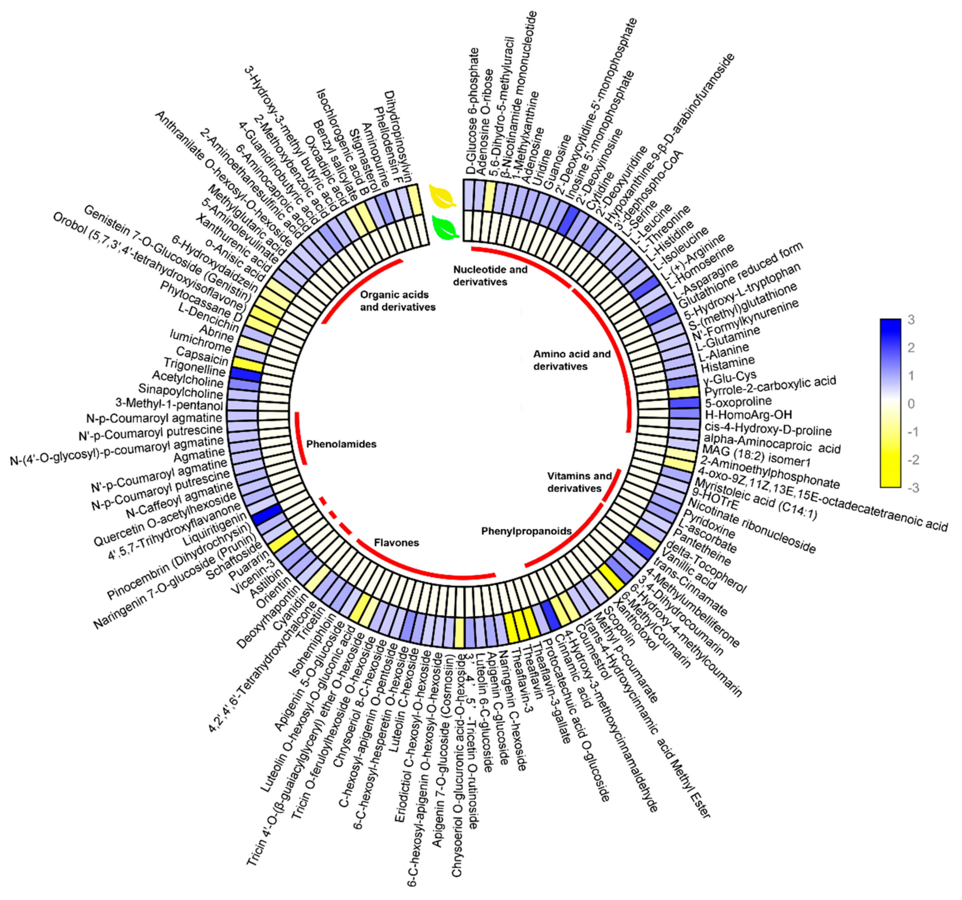 Forests 11 00229 g003