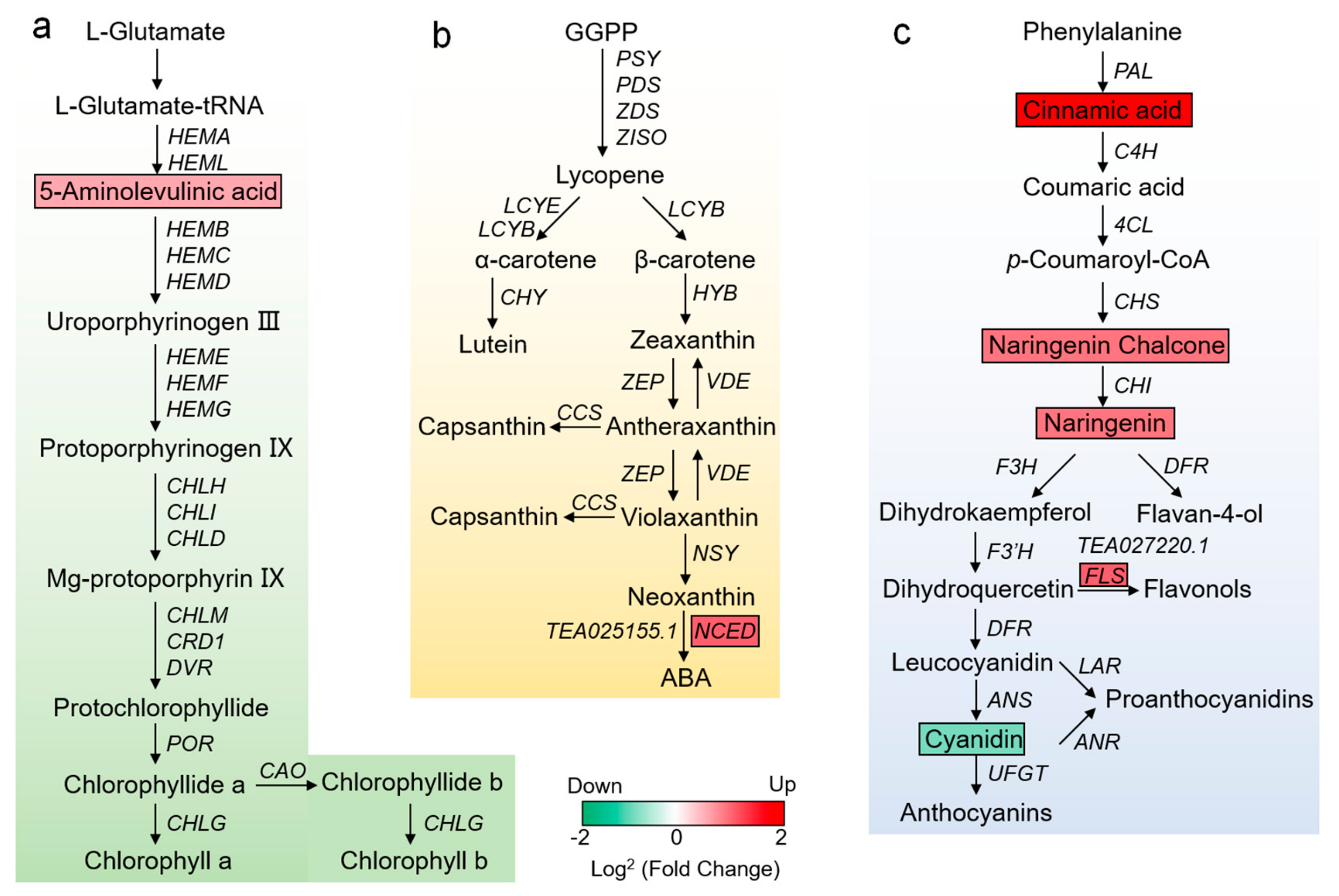 Forests 11 00229 g006