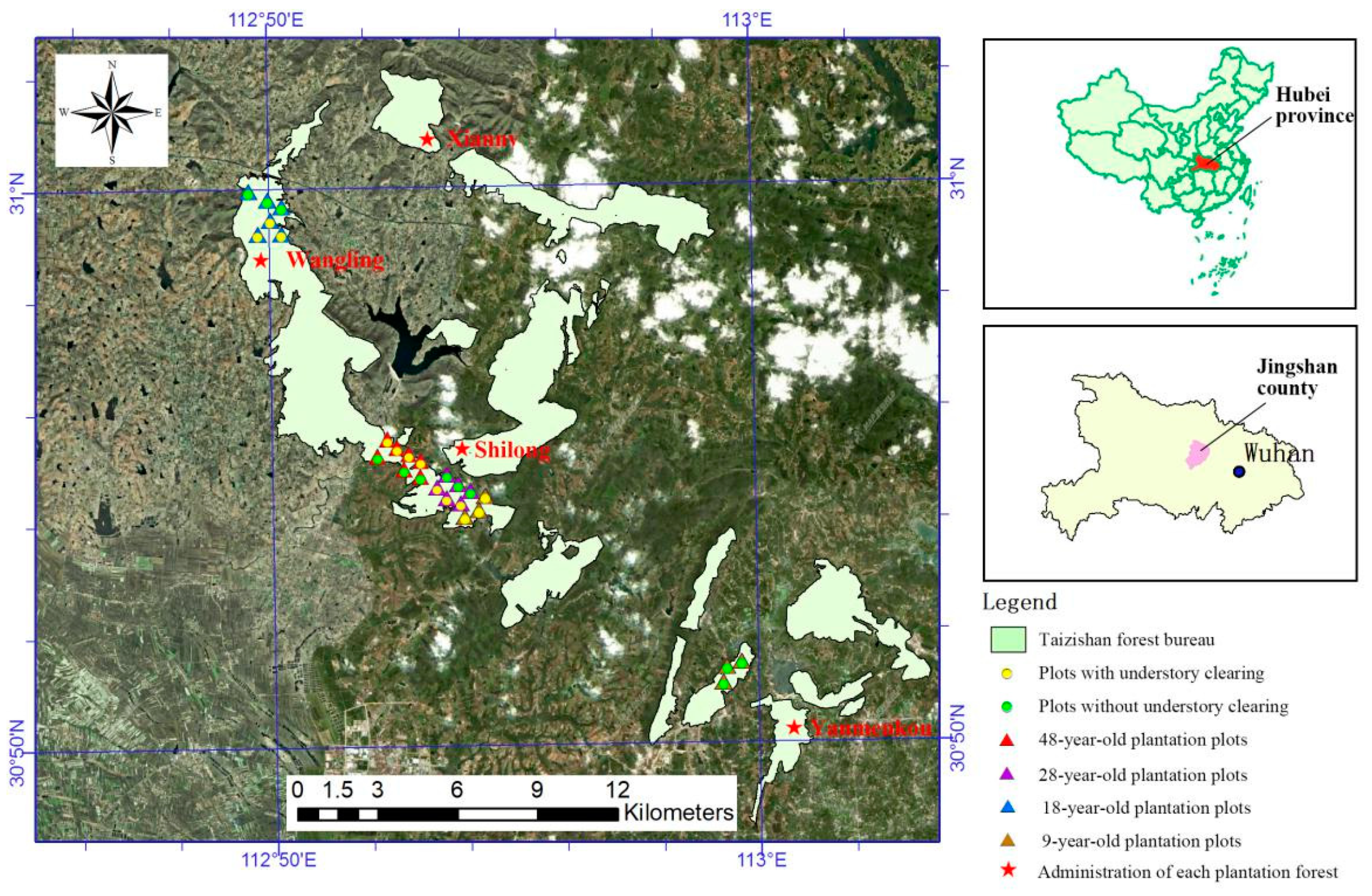 Forests 11 00231 g001