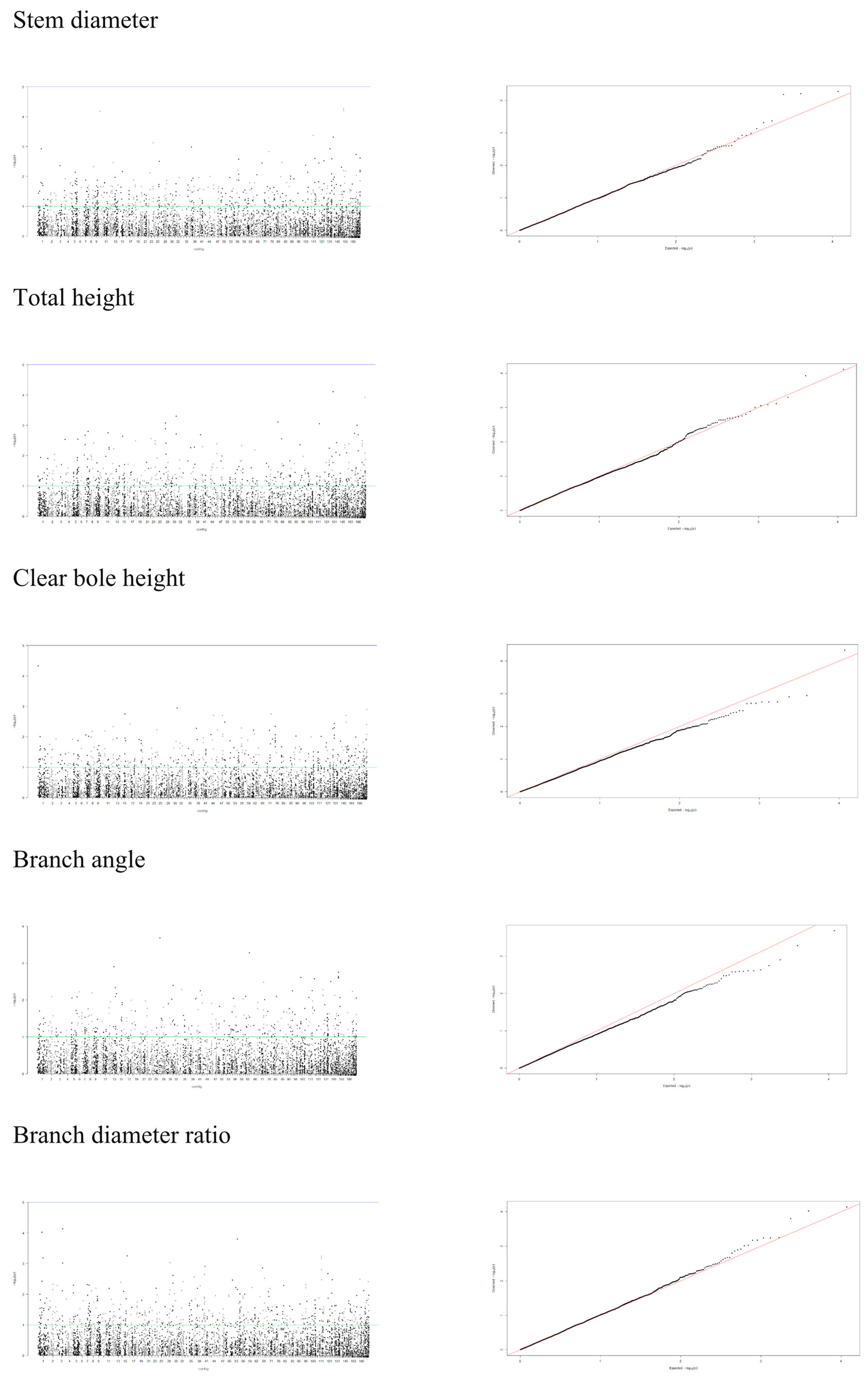 Forests 11 00239 g005
