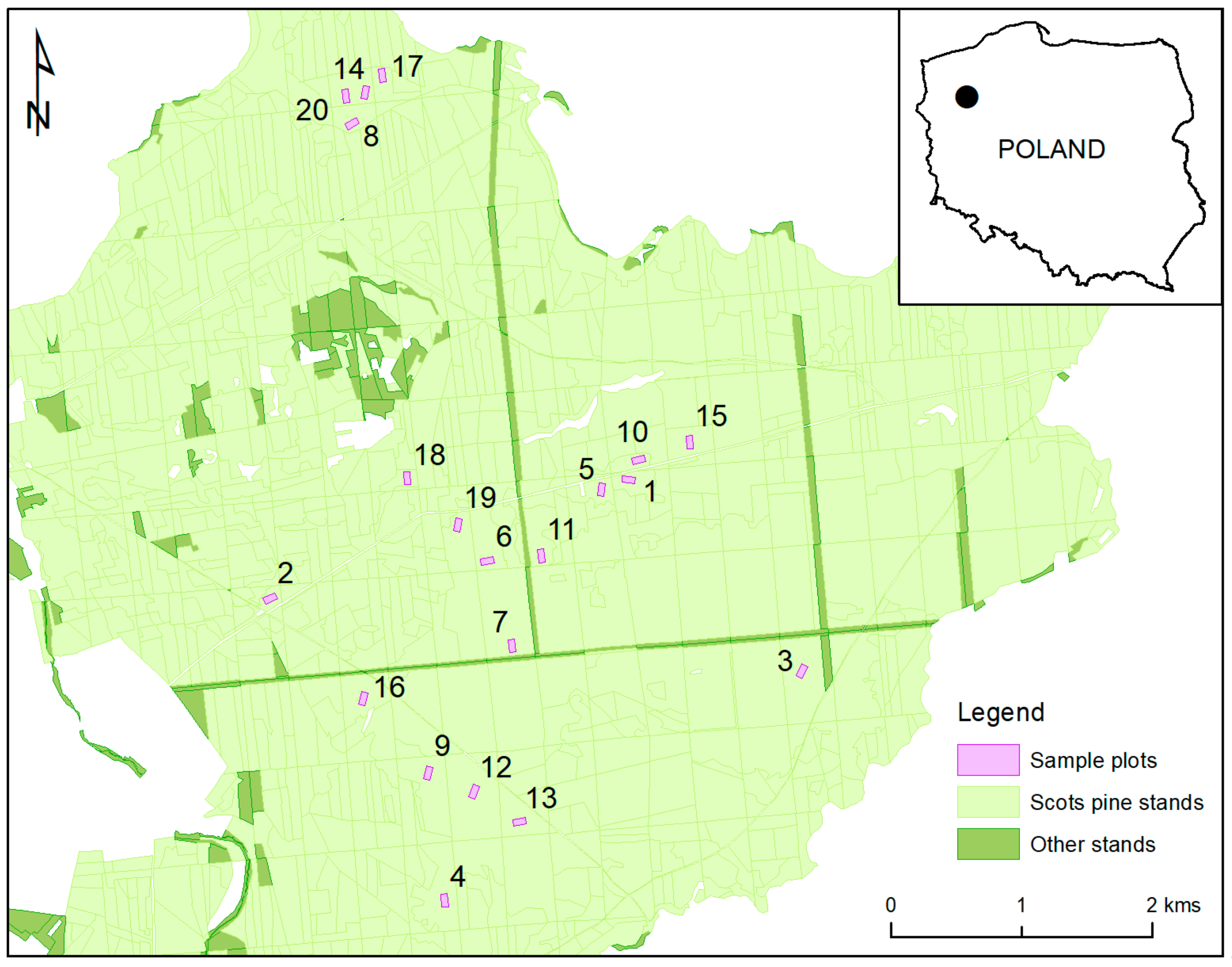 Forests 11 00240 g001 Forests 11 00240 g001