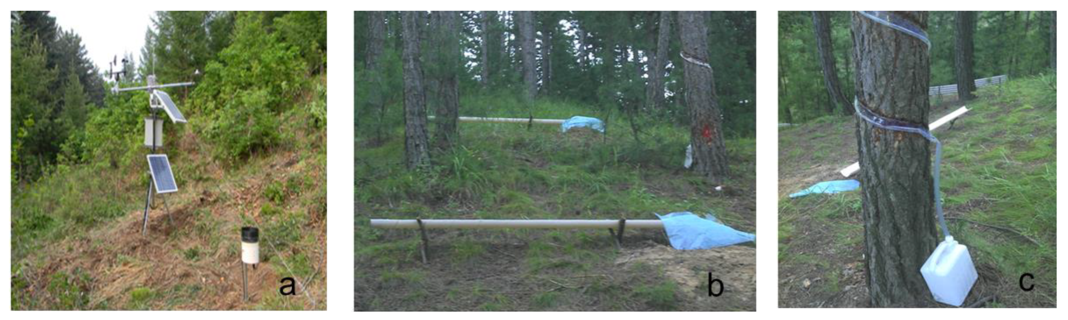 Forests 11 00243 g002